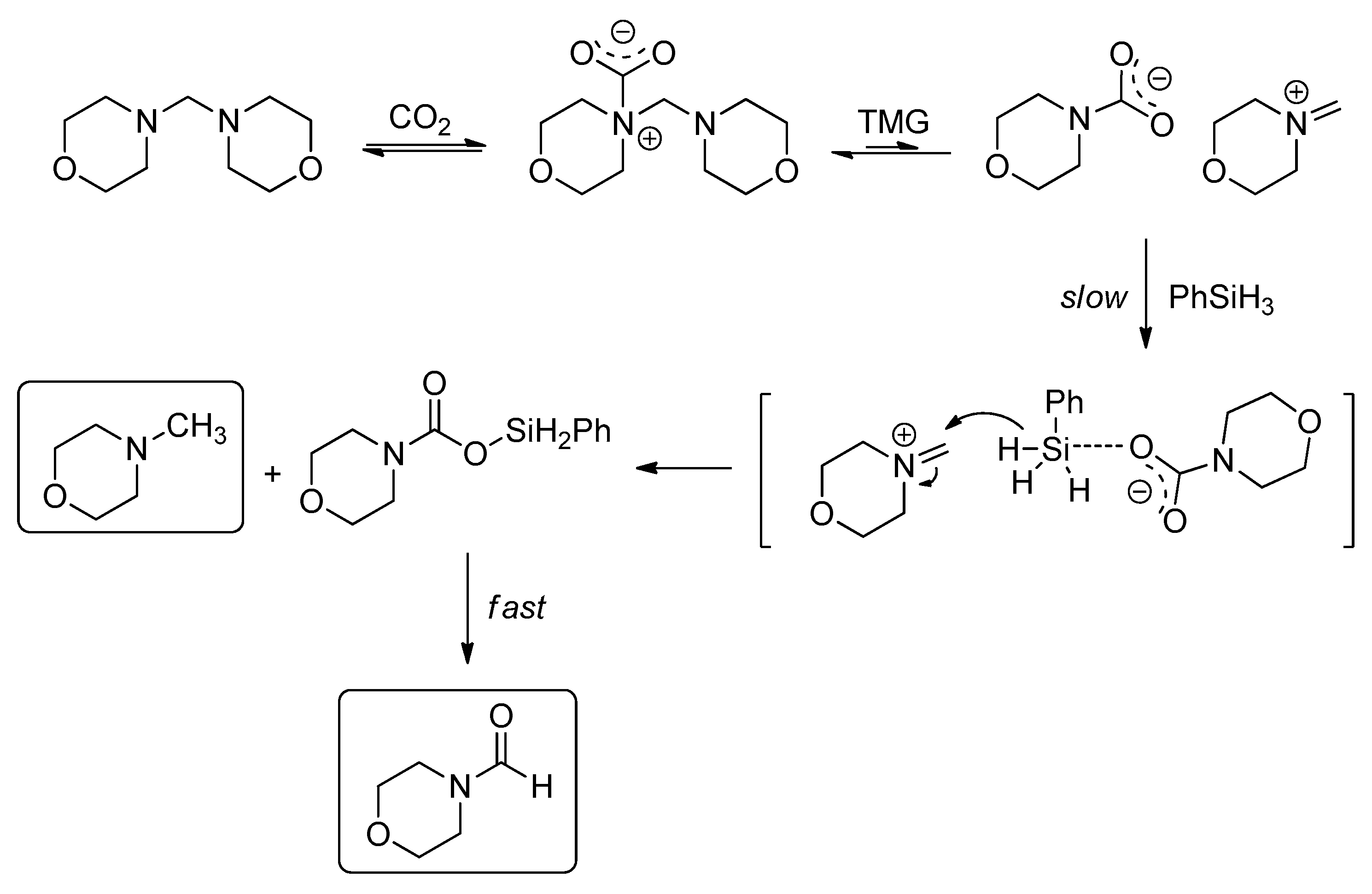 Molecules 24 00182 sch033 Molecules 24 00182 sch033