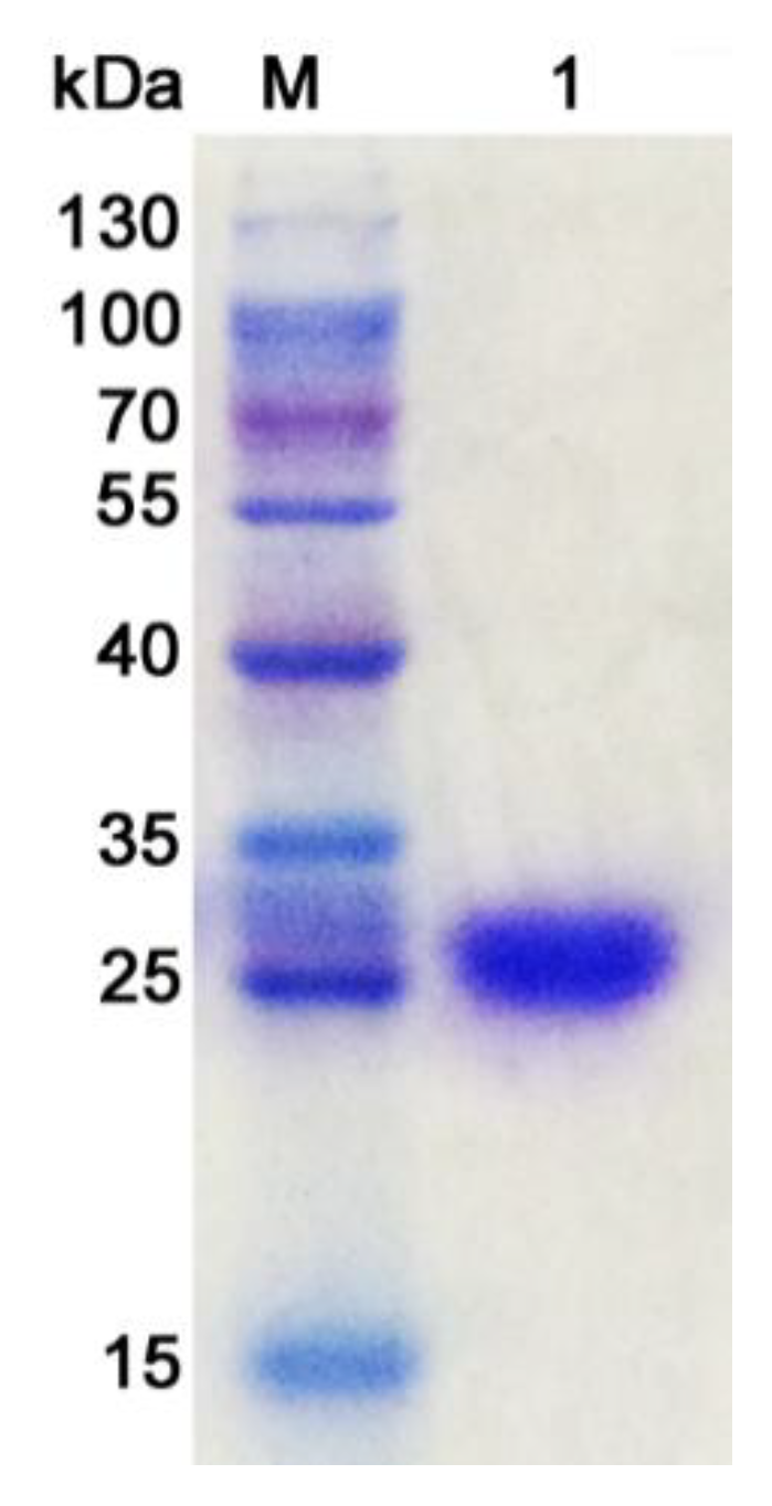 Molecules 24 00183 g002 Molecules 24 00183 g002