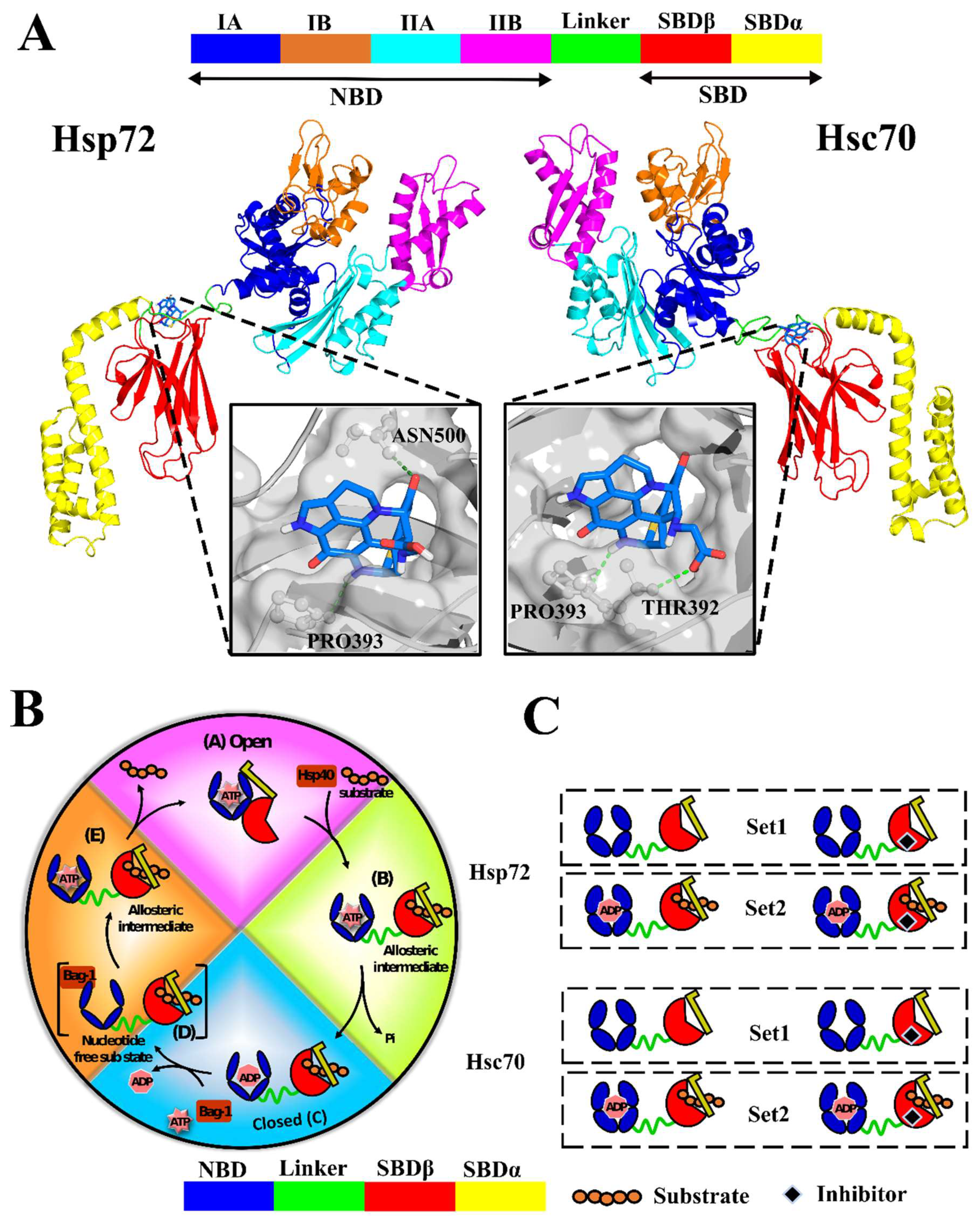 Molecules 24 00188 g001