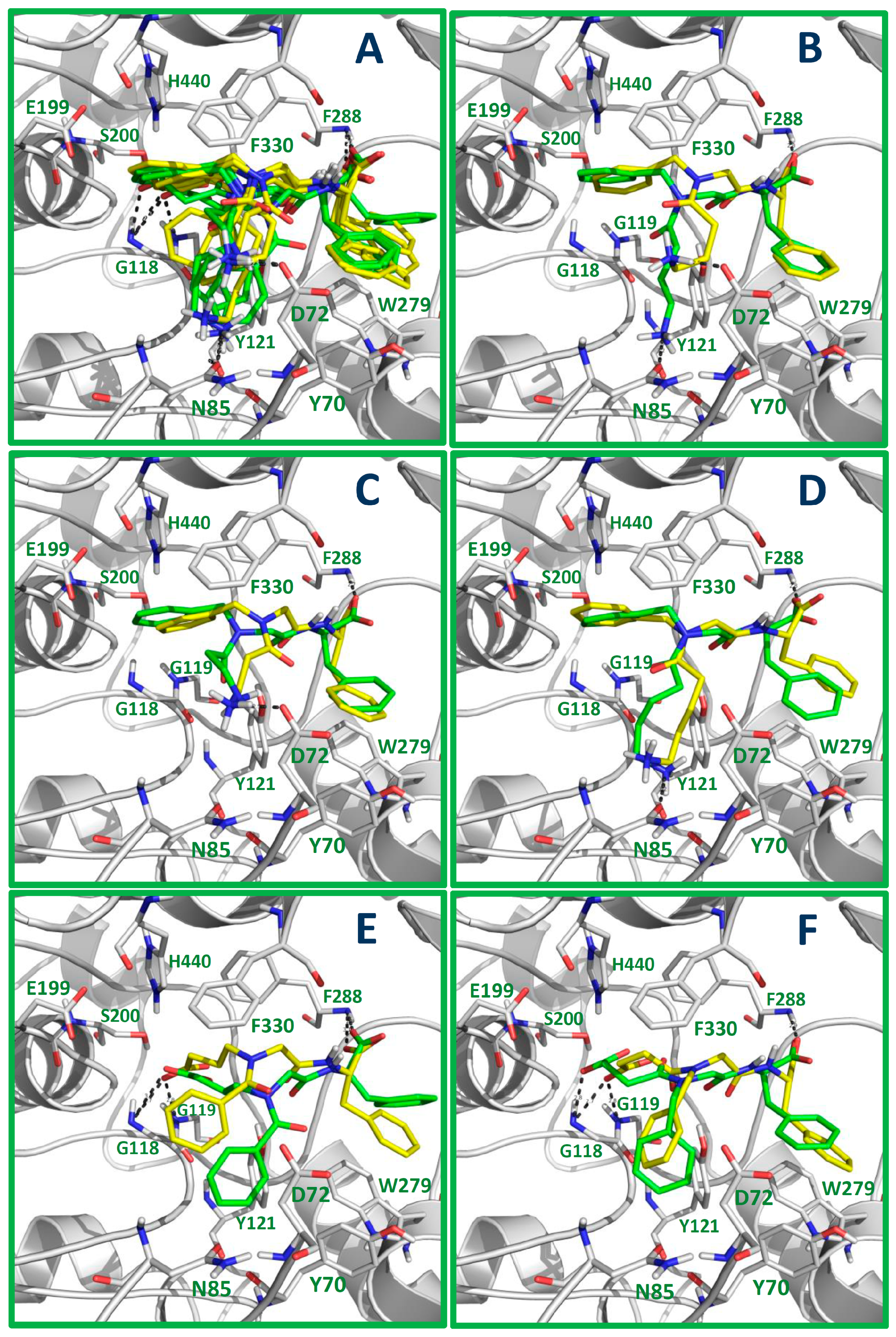 Molecules 24 00189 g002