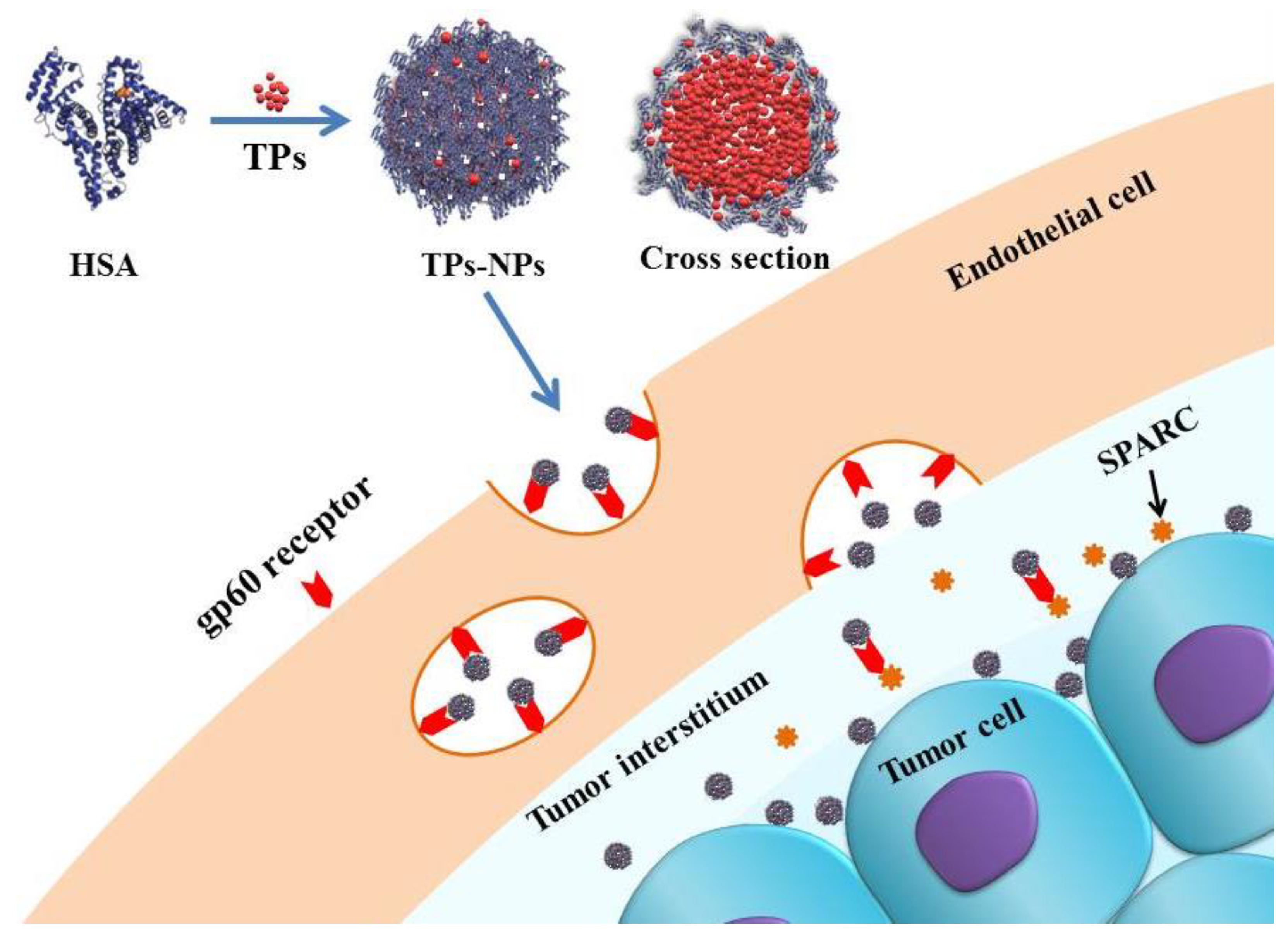 Molecules 24 00192 sch001 Molecules 24 00192 sch001