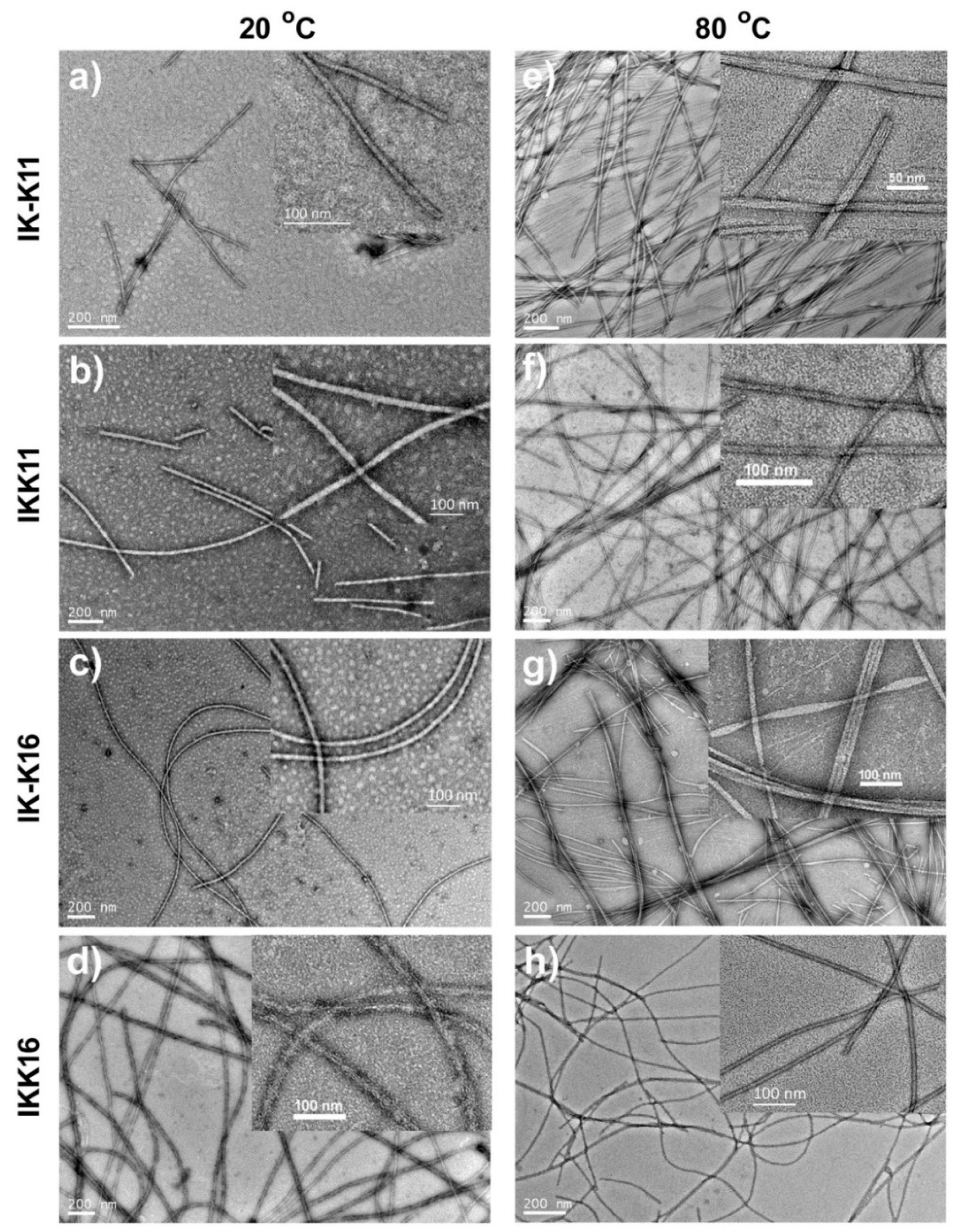 Molecules 24 00202 g002 Molecules 24 00202 g002