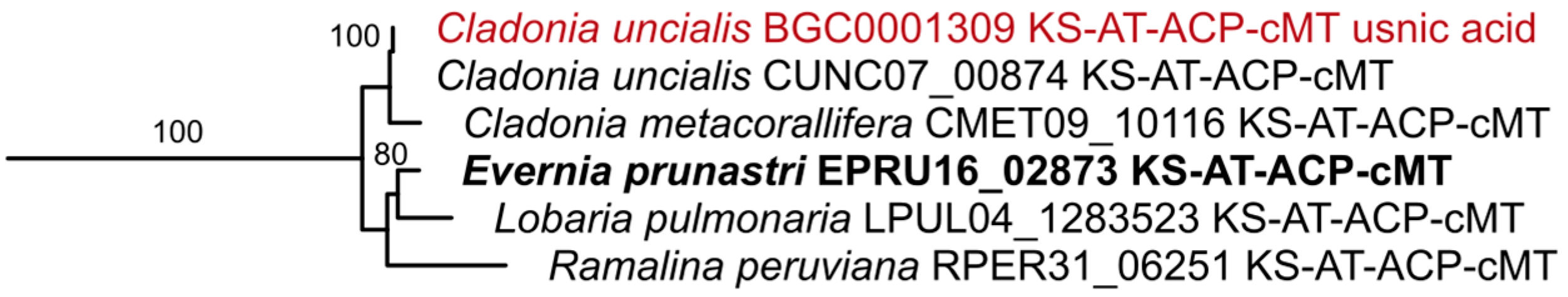 Molecules 24 00203 g006