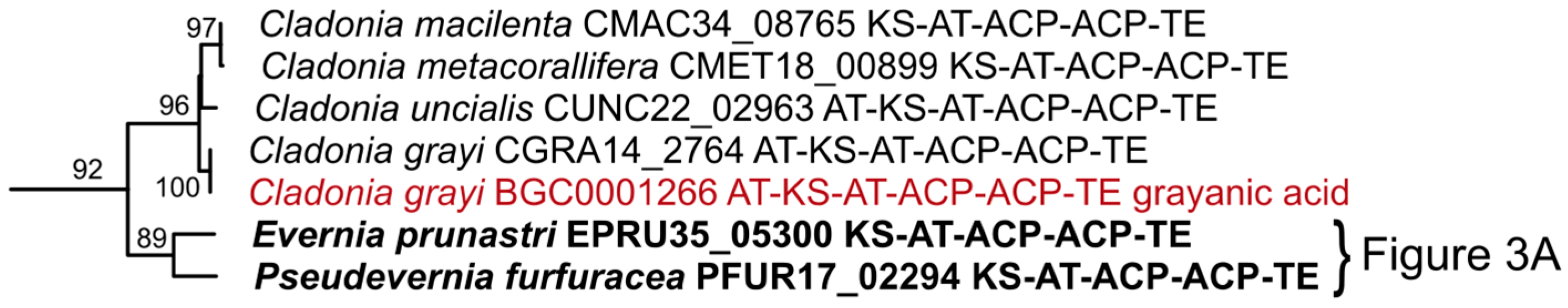 Molecules 24 00203 g007