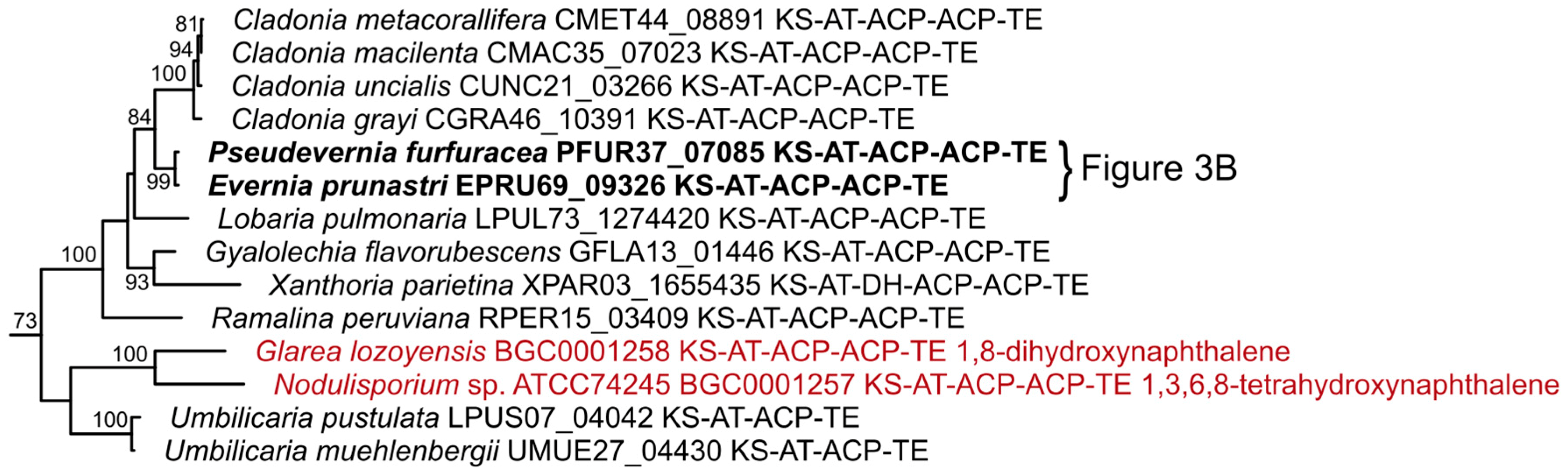 Molecules 24 00203 g008