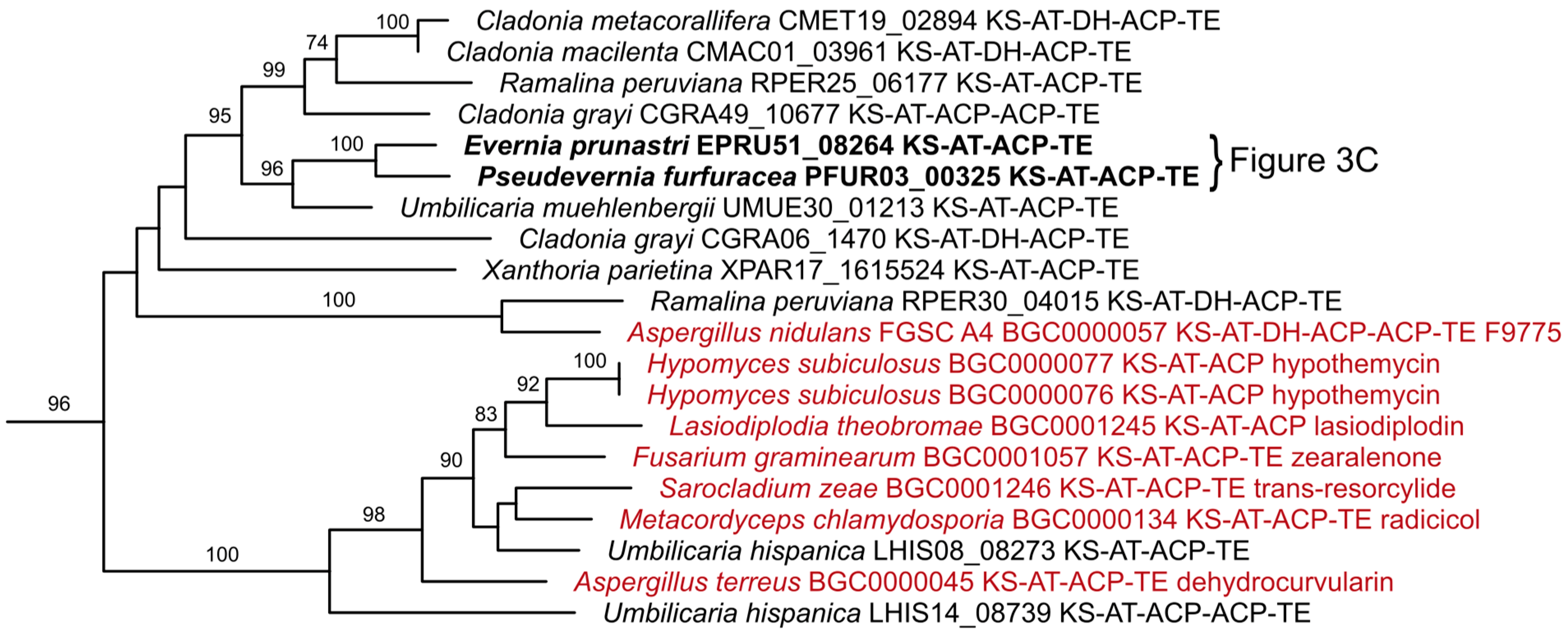 Molecules 24 00203 g009