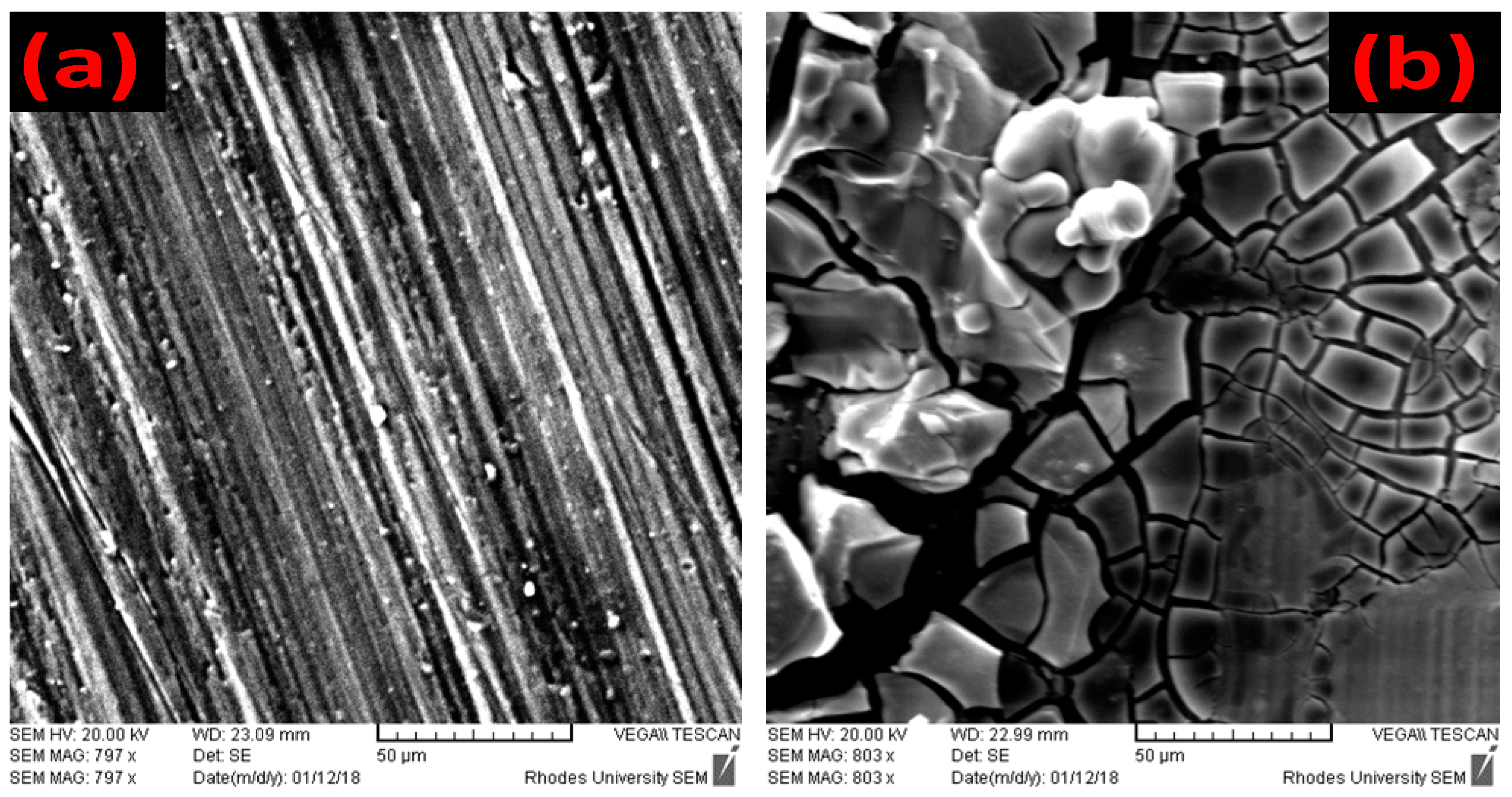 Molecules 24 00207 g005a Molecules 24 00207 g005a
