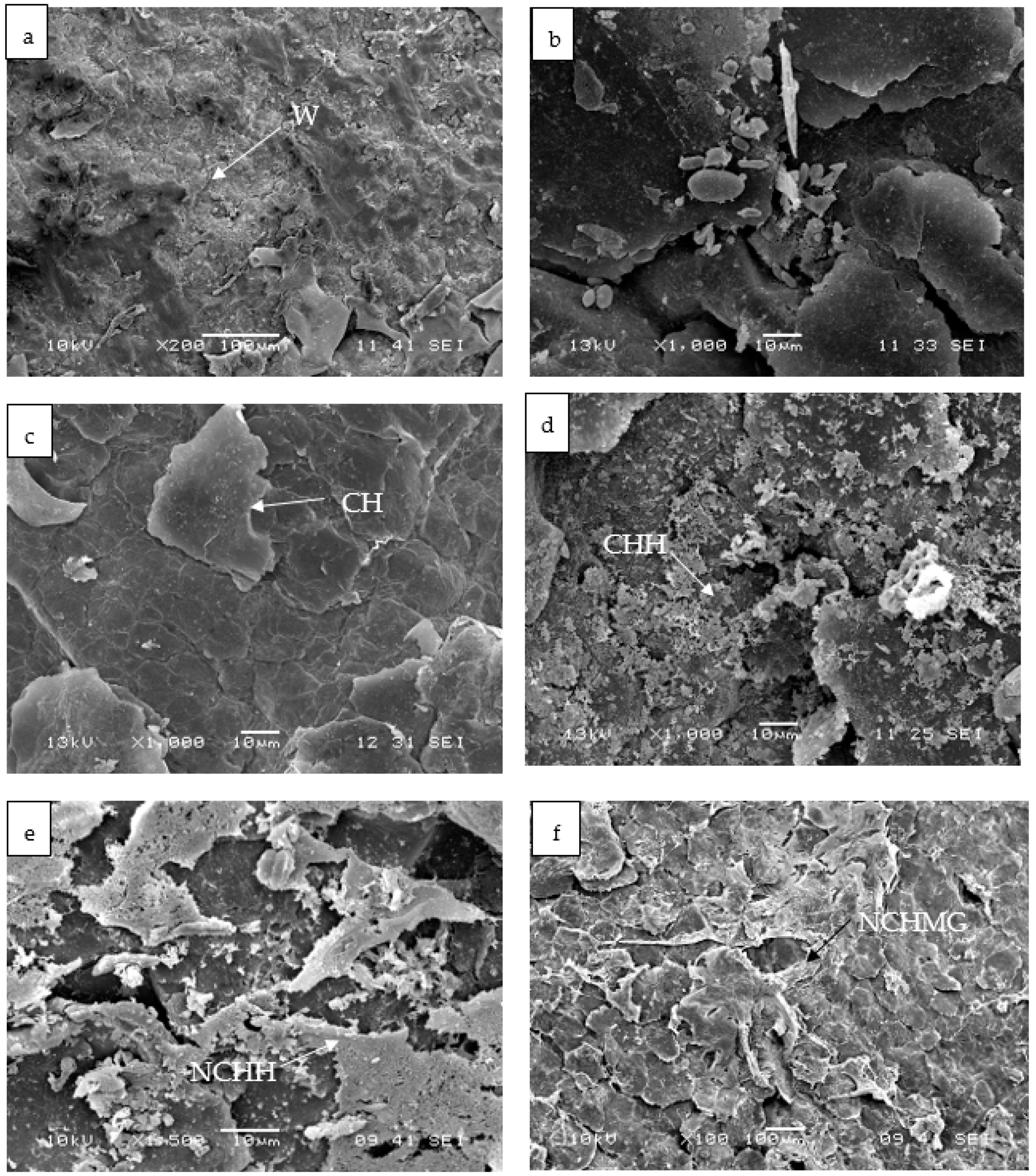 Molecules 24 00219 g007a
