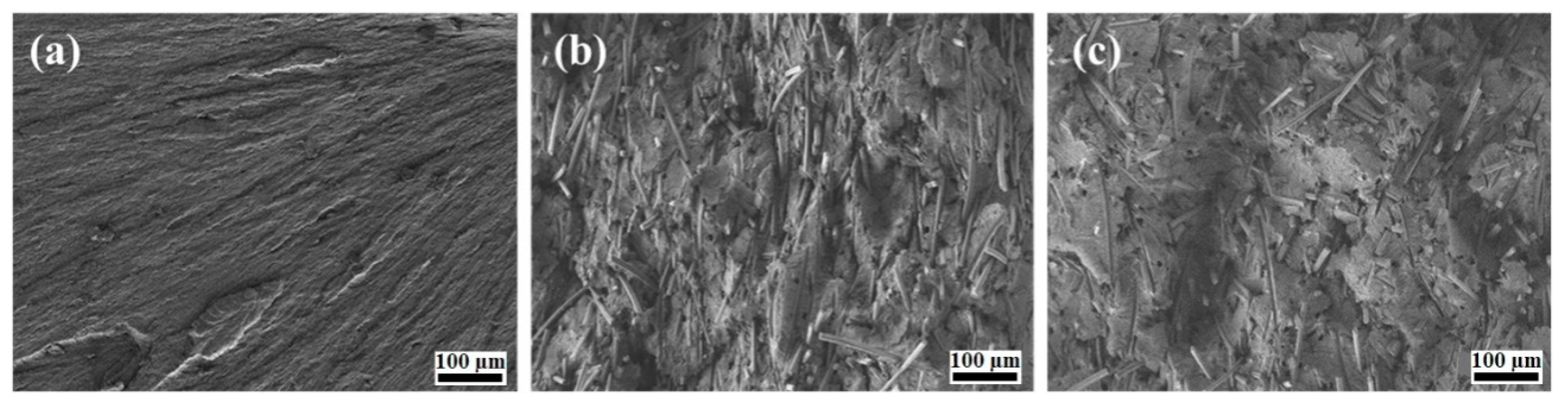 Molecules 24 00224 g002