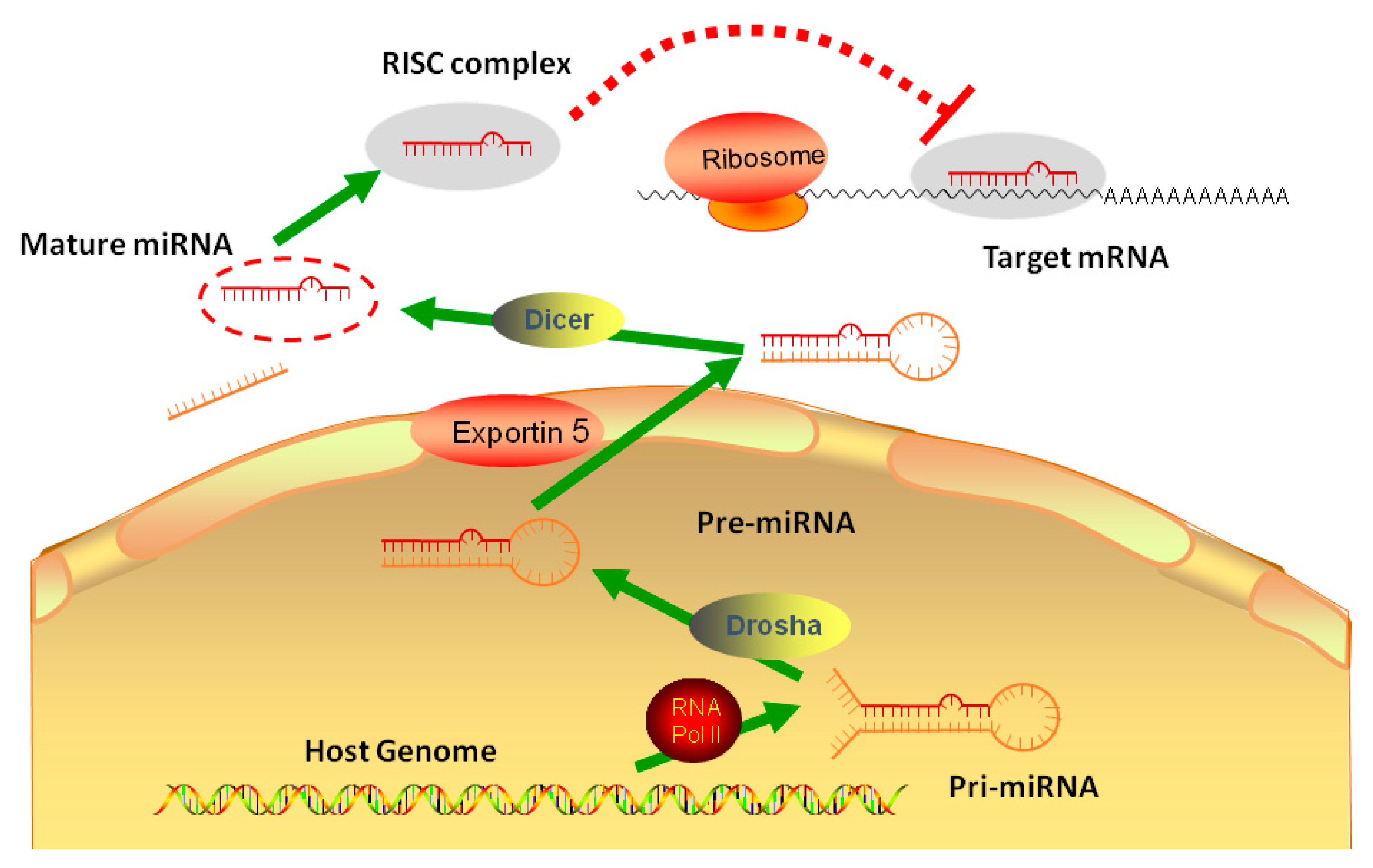 Molecules 24 00230 g001 Molecules 24 00230 g001