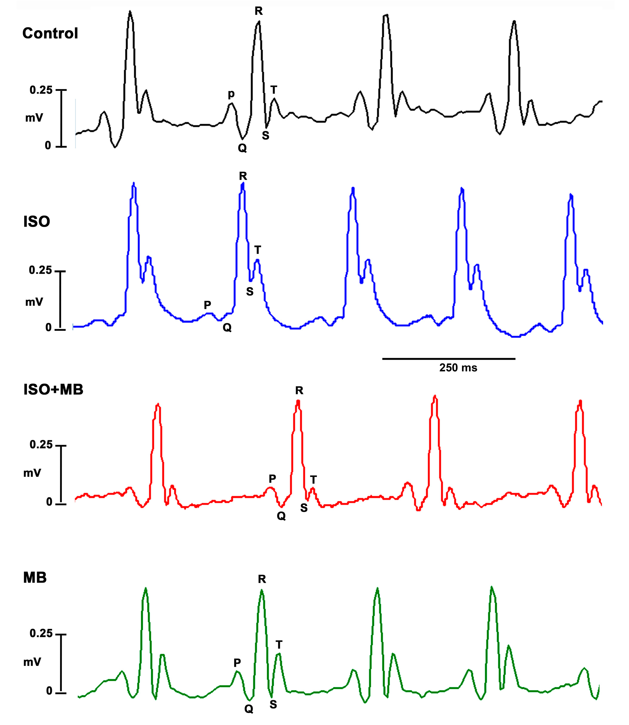 Molecules 24 00235 g001 Molecules 24 00235 g001