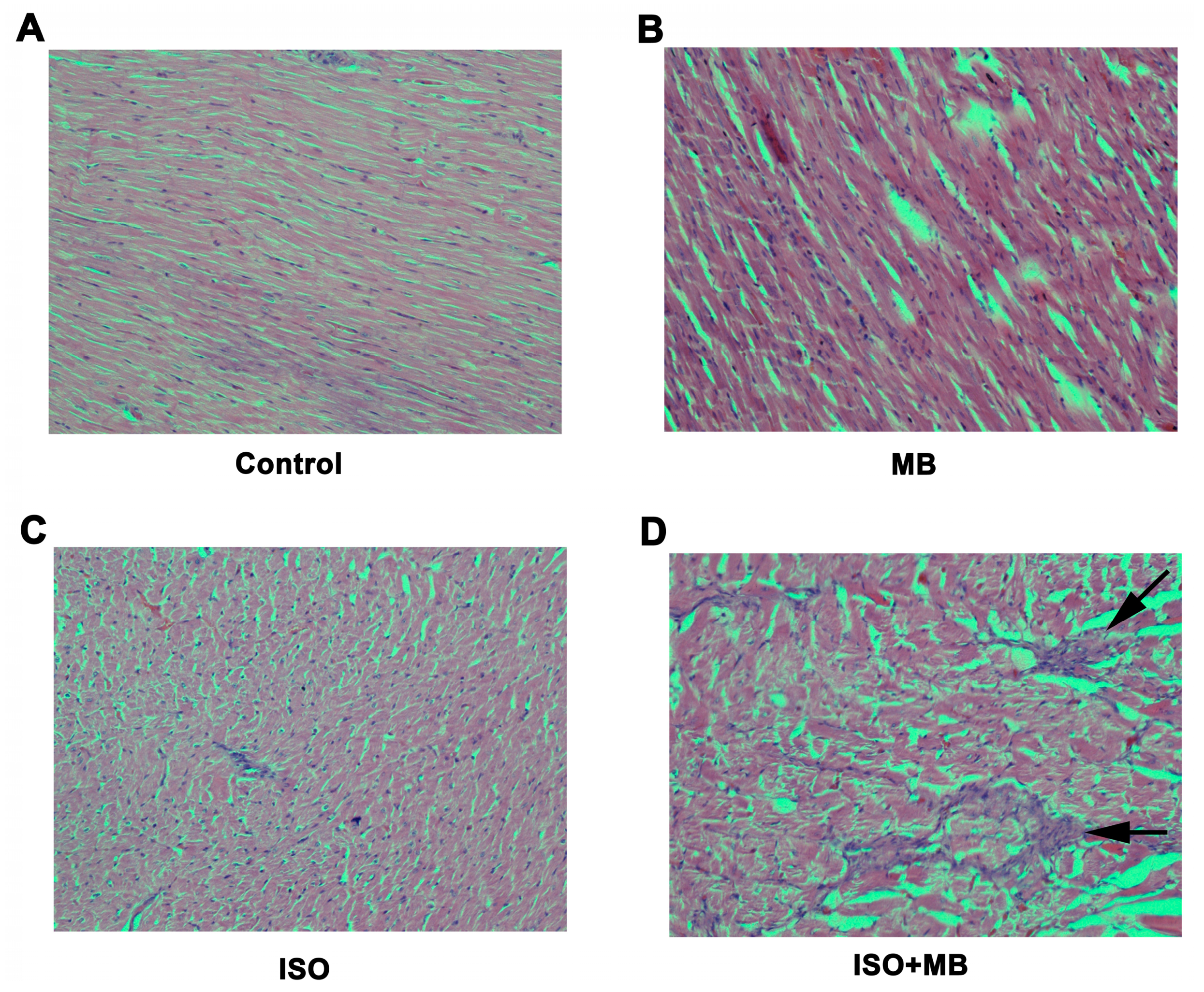 Molecules 24 00235 g003 Molecules 24 00235 g003