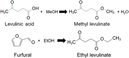 Molecules 24 00239 i004 Molecules 24 00239 i004