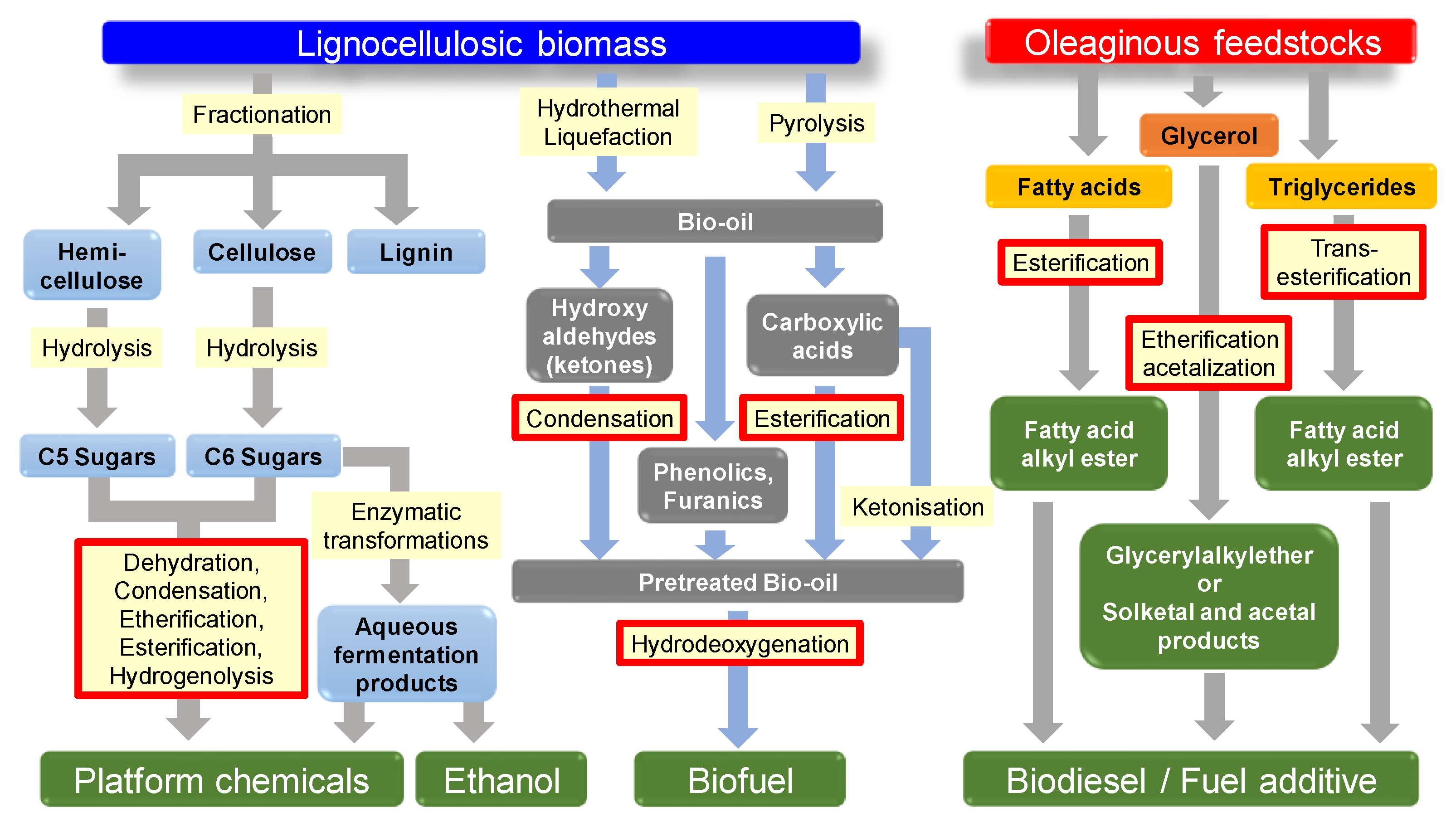 Molecules 24 00239 sch001 Molecules 24 00239 sch001