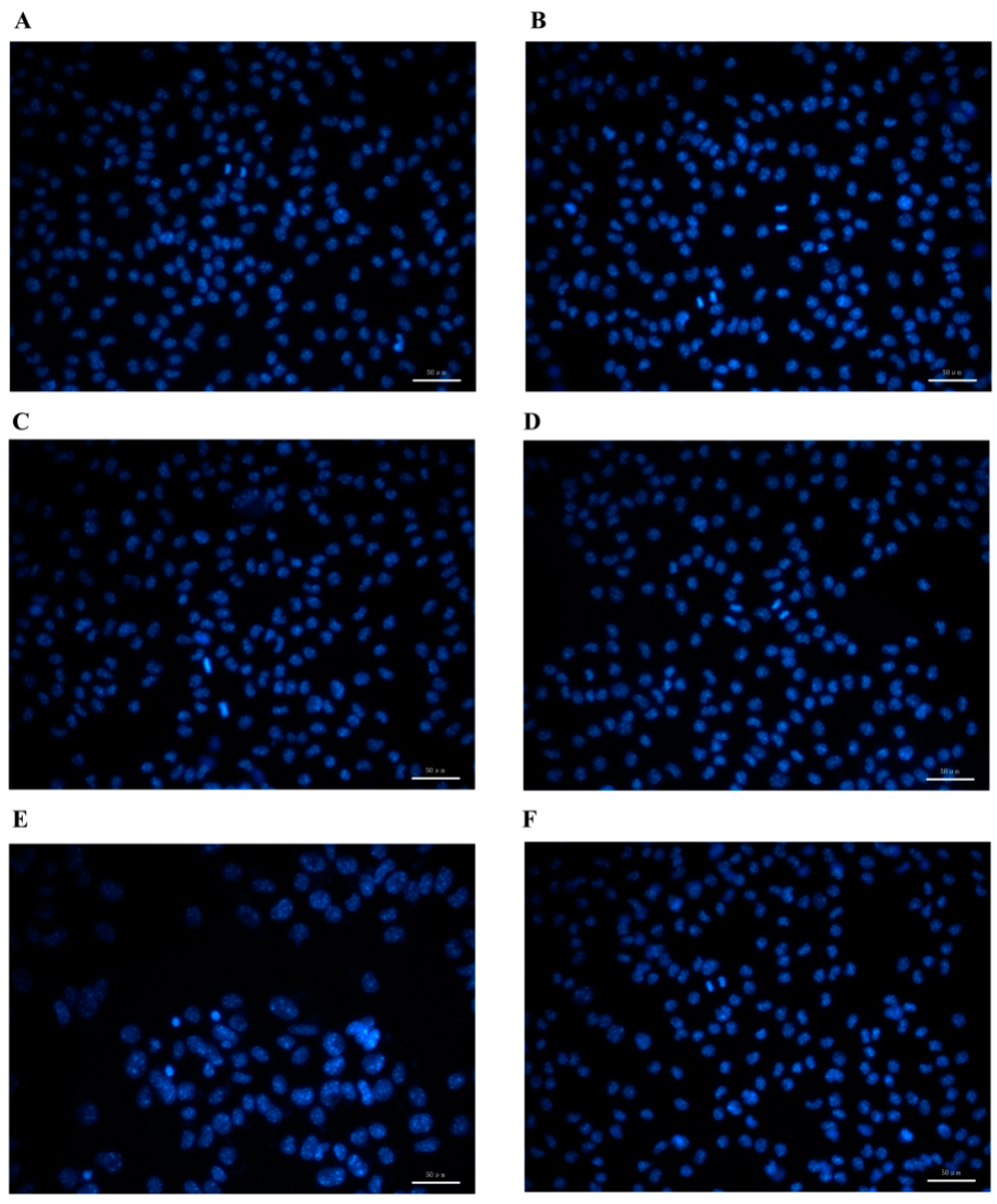 Molecules 24 00242 g004