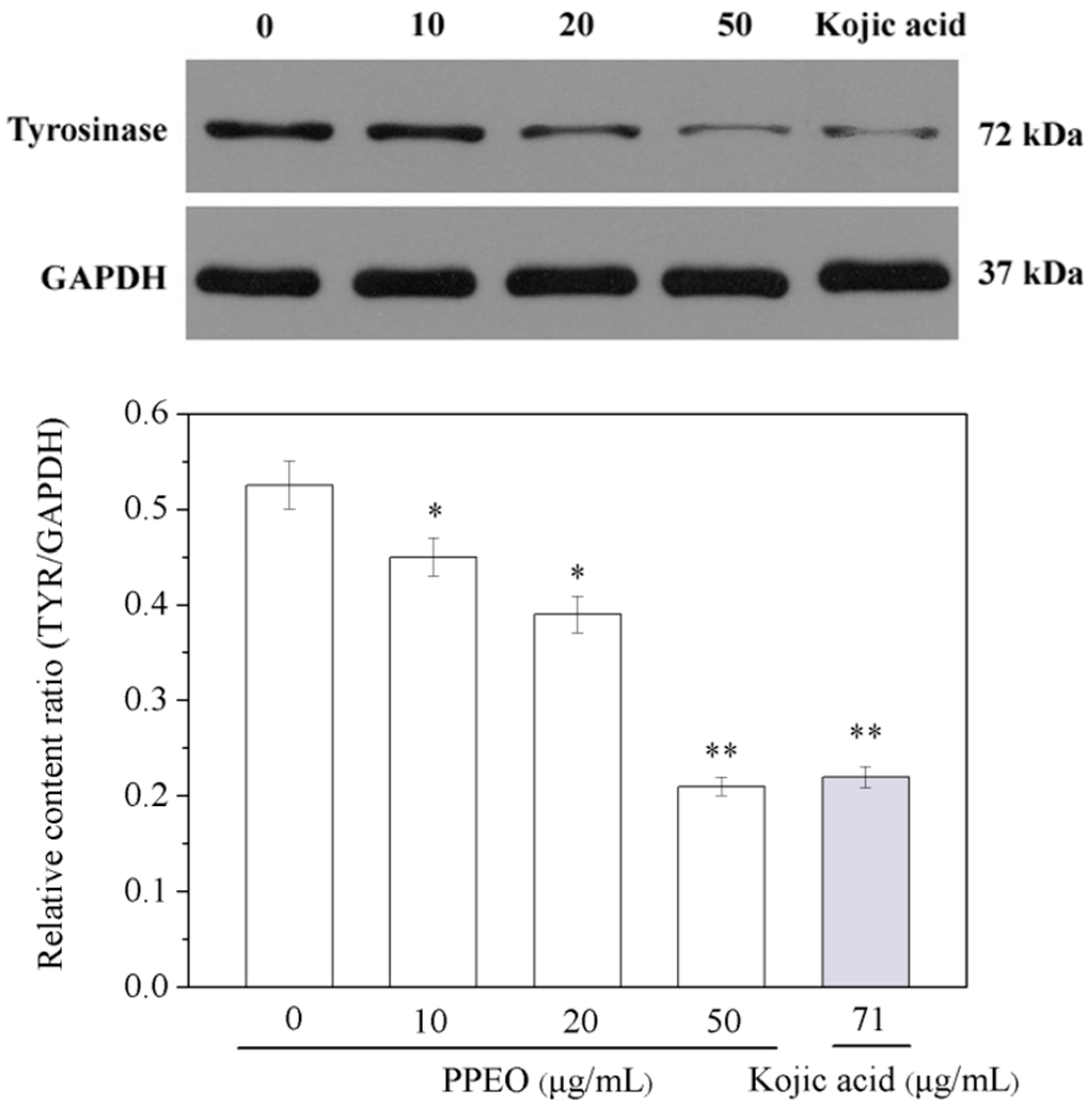 Molecules 24 00242 g006