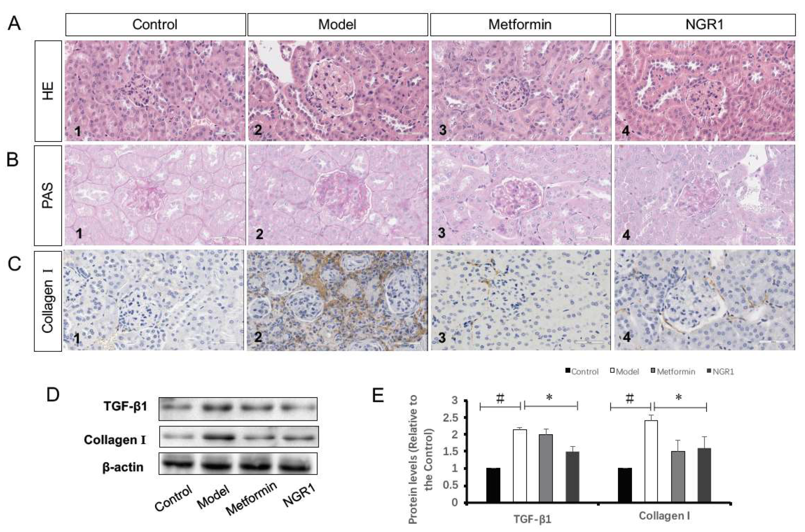 Molecules 24 00247 g004 Molecules 24 00247 g004
