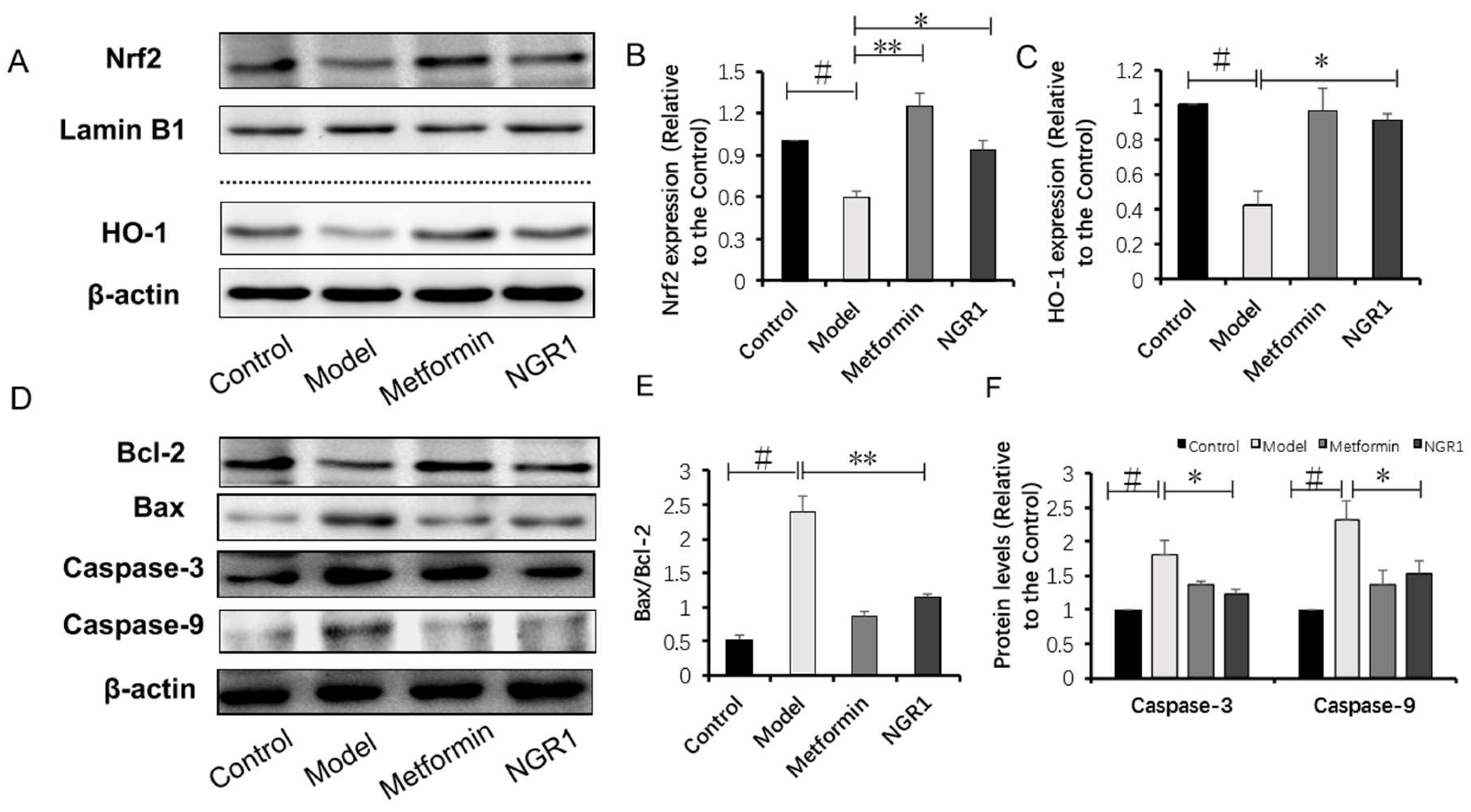 Molecules 24 00247 g005 Molecules 24 00247 g005