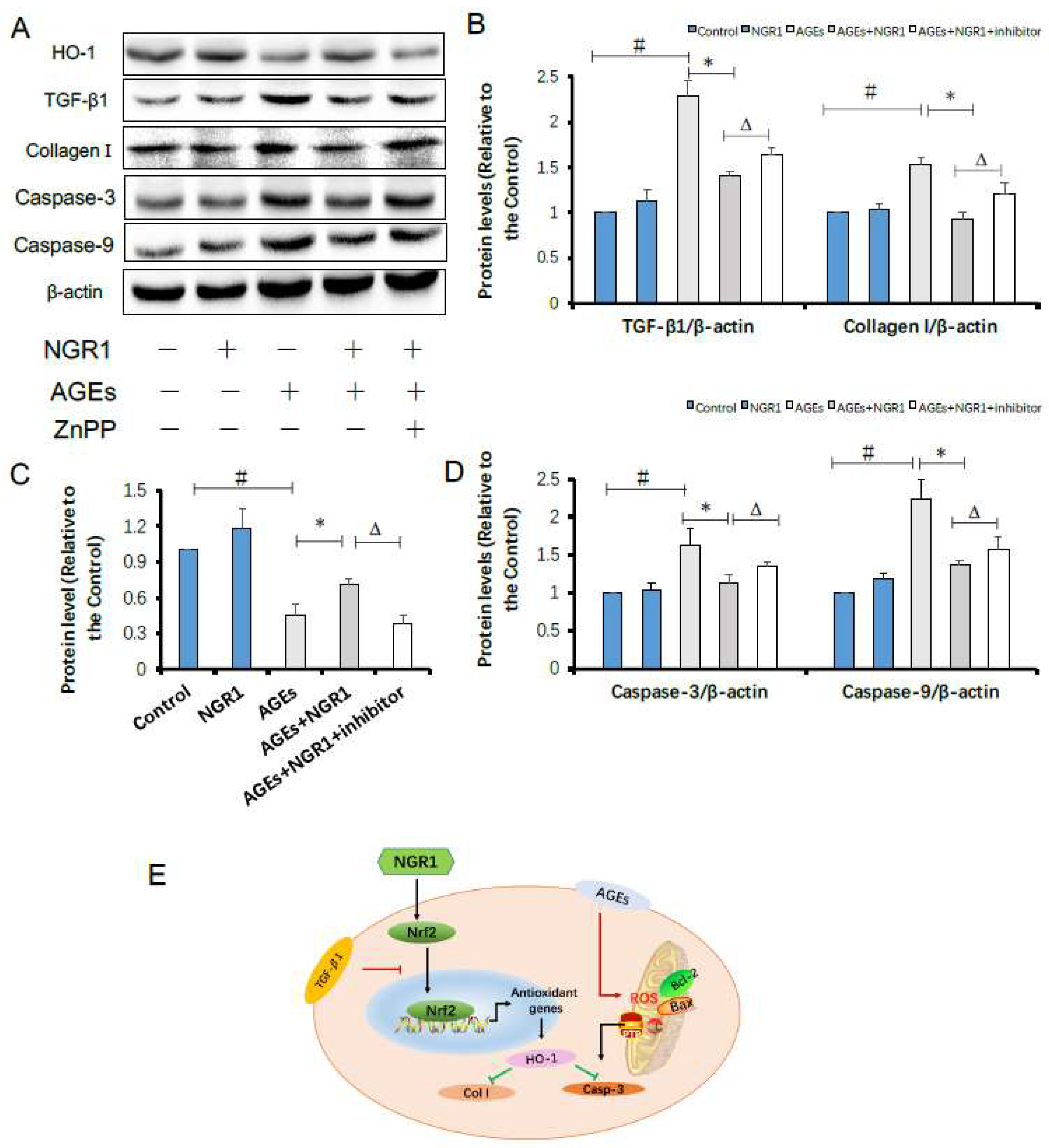 Molecules 24 00247 g010 Molecules 24 00247 g010