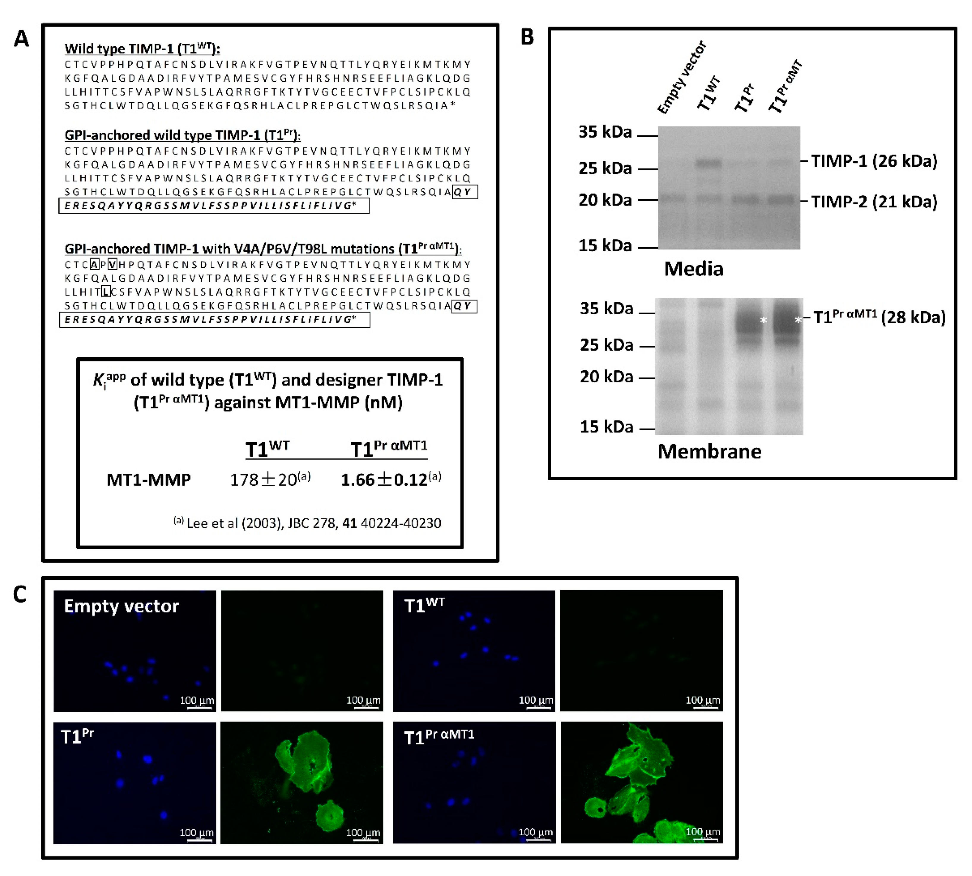 Molecules 24 00255 g001