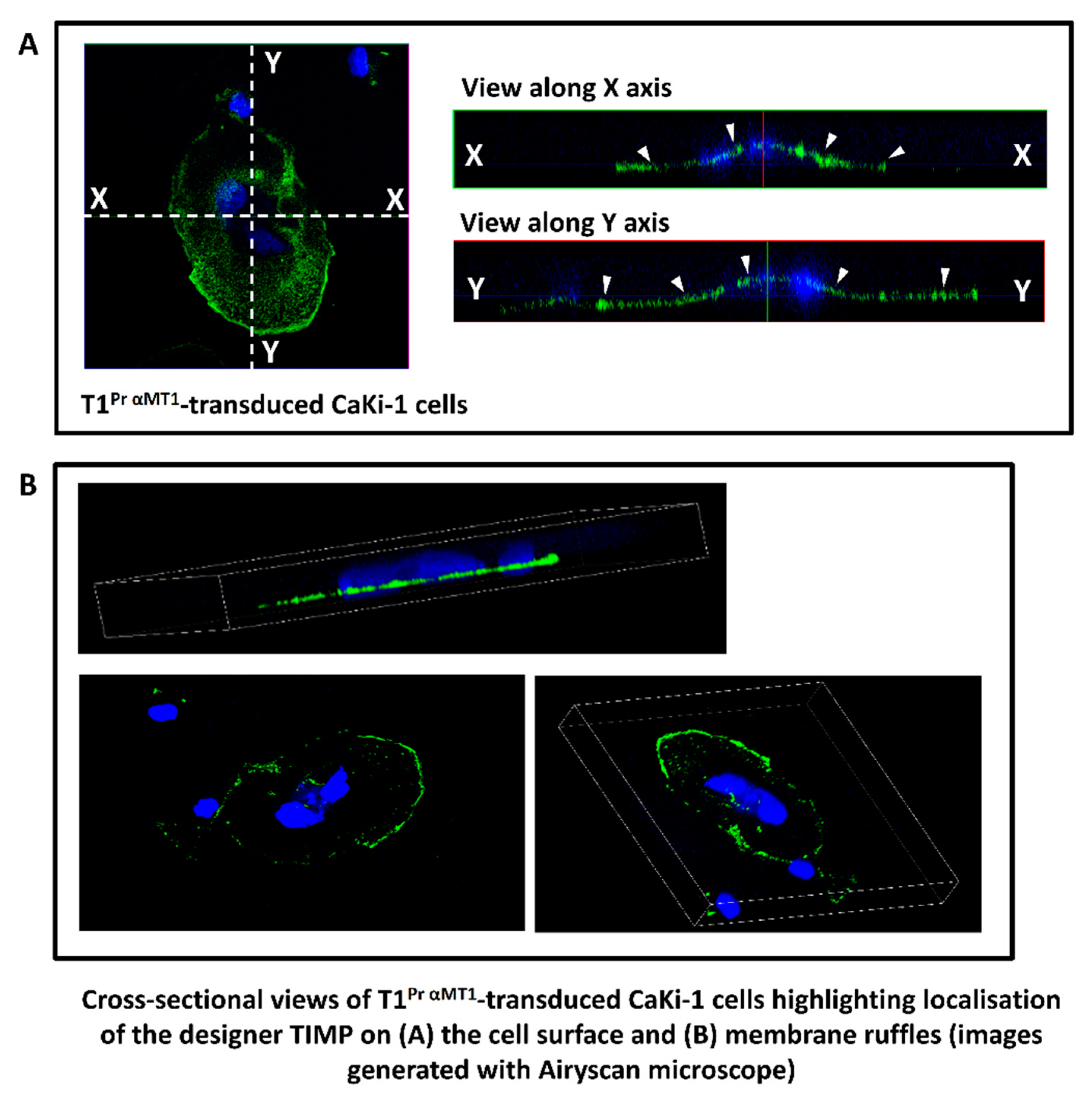 Molecules 24 00255 g002