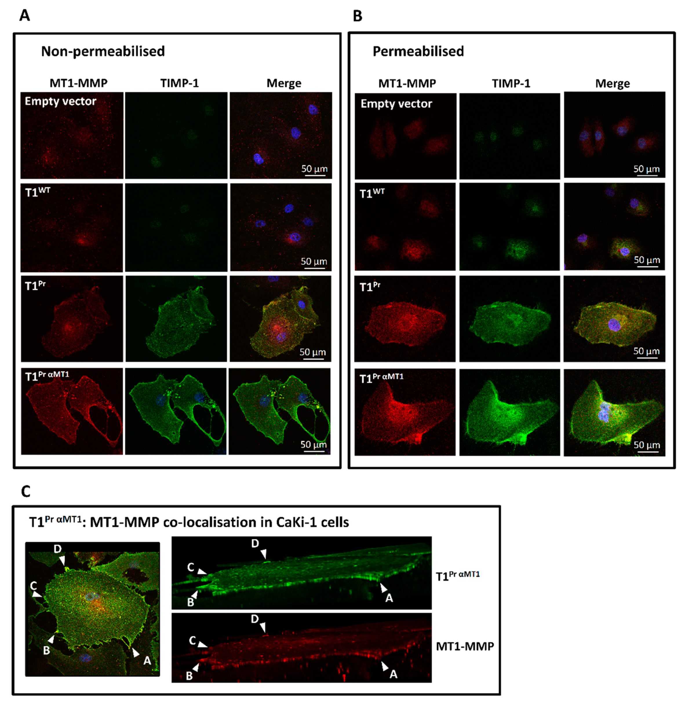 Molecules 24 00255 g003