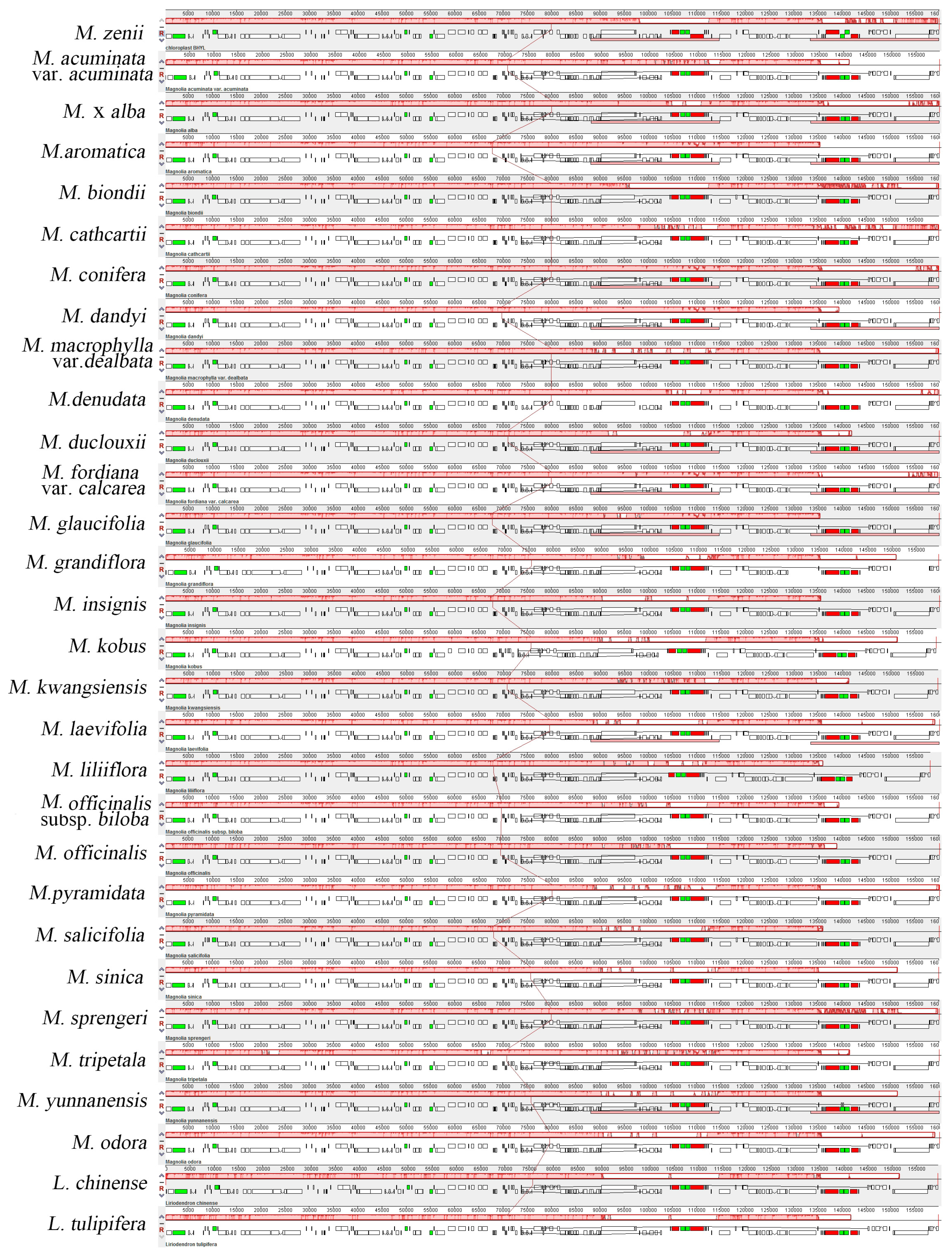 Molecules 24 00261 g002