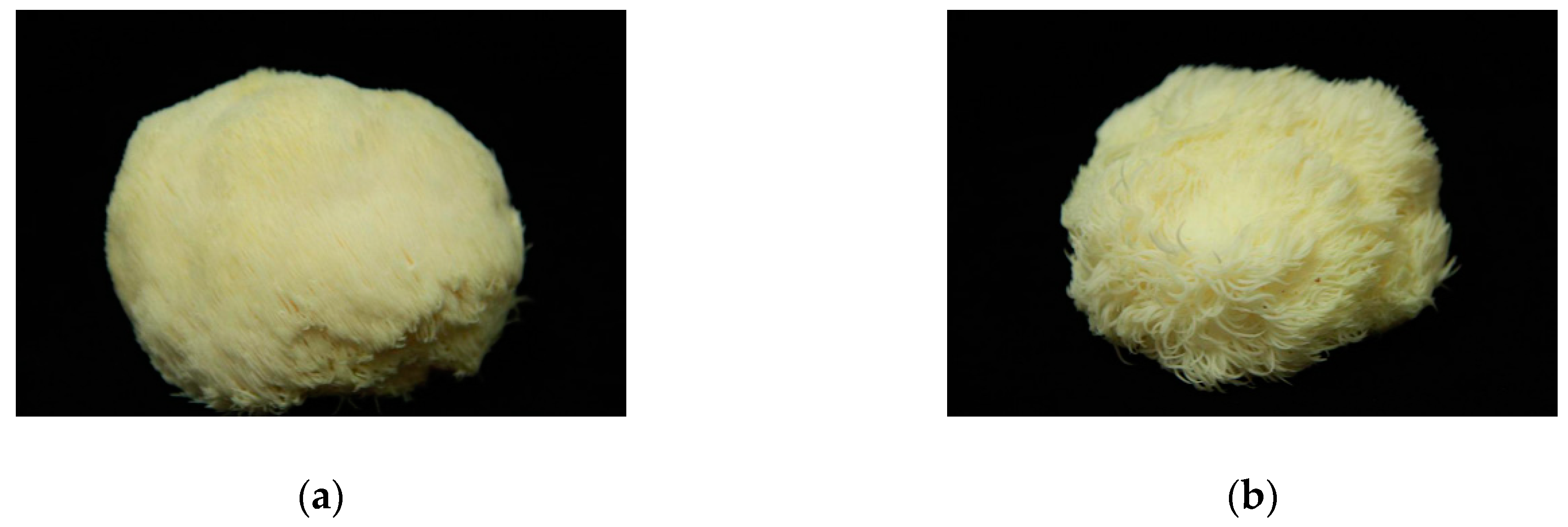 Molecules 24 00262 g001 Molecules 24 00262 g001