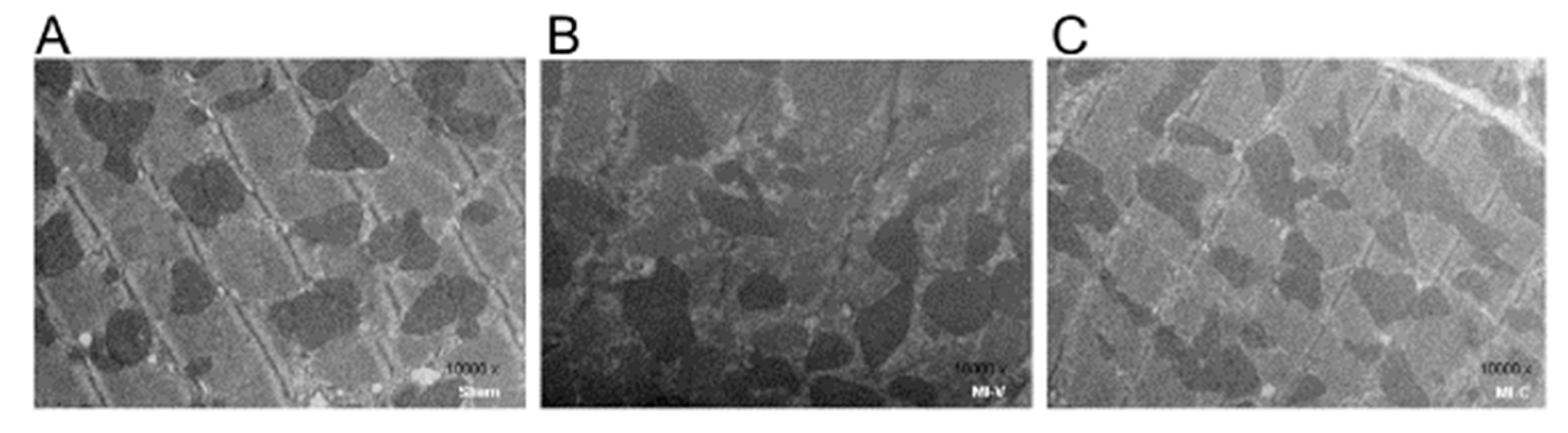 Molecules 24 00270 g005