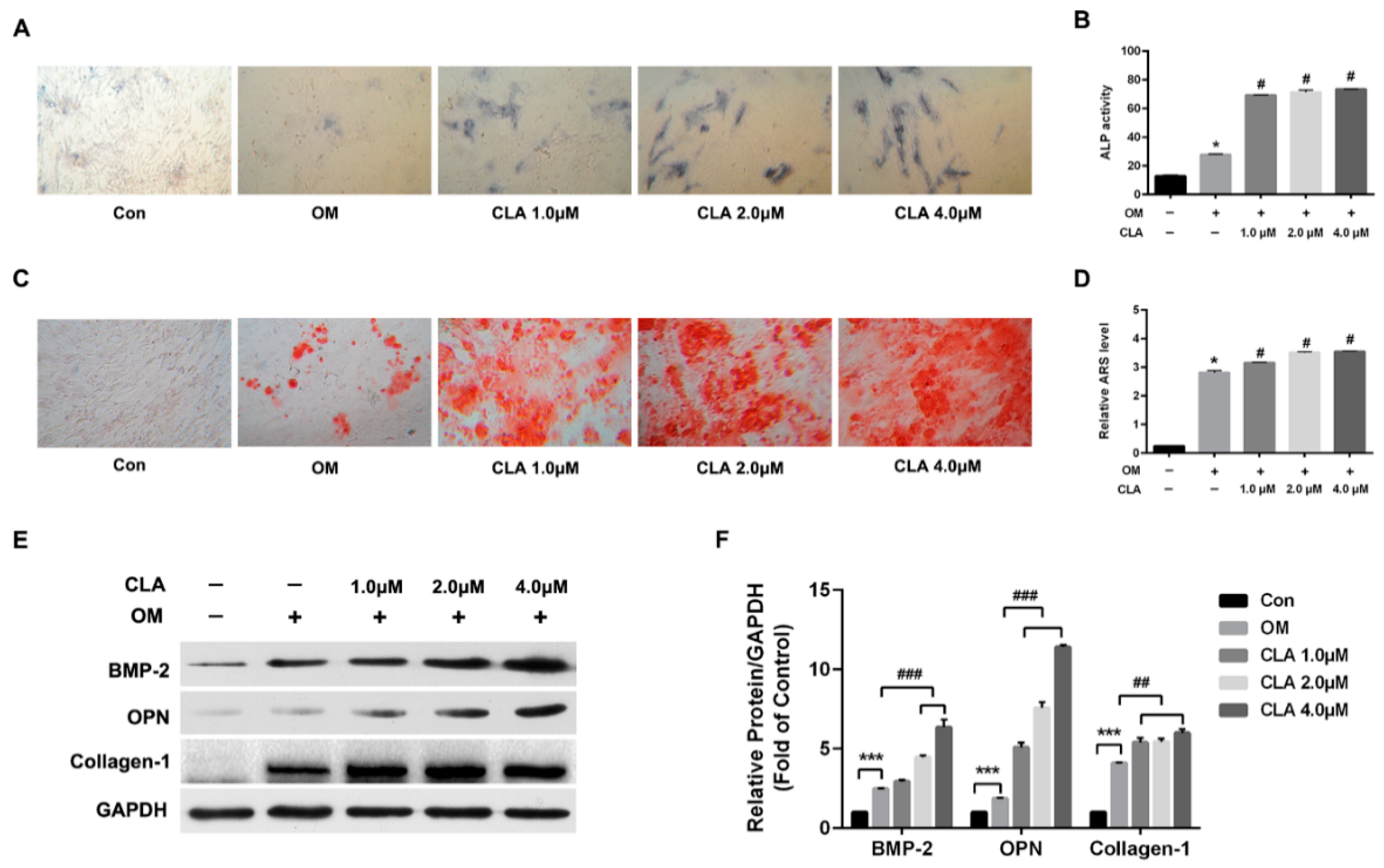 Molecules 24 00271 g002