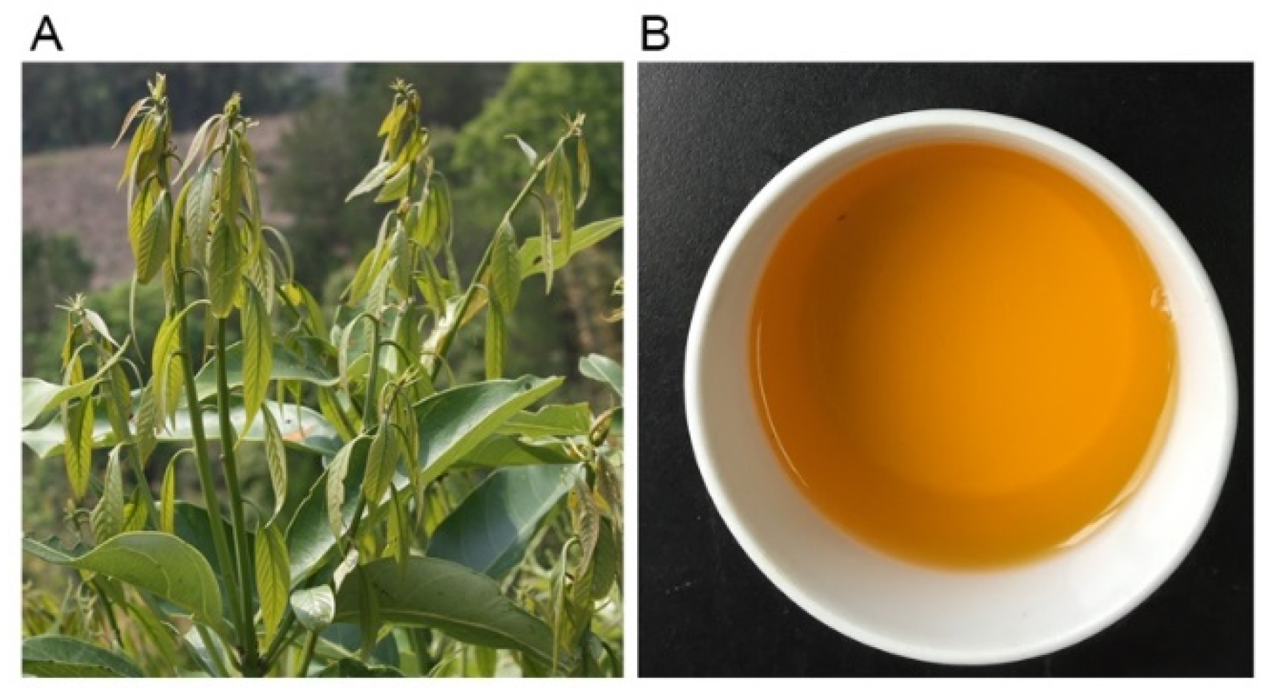 Molecules 24 00273 g001