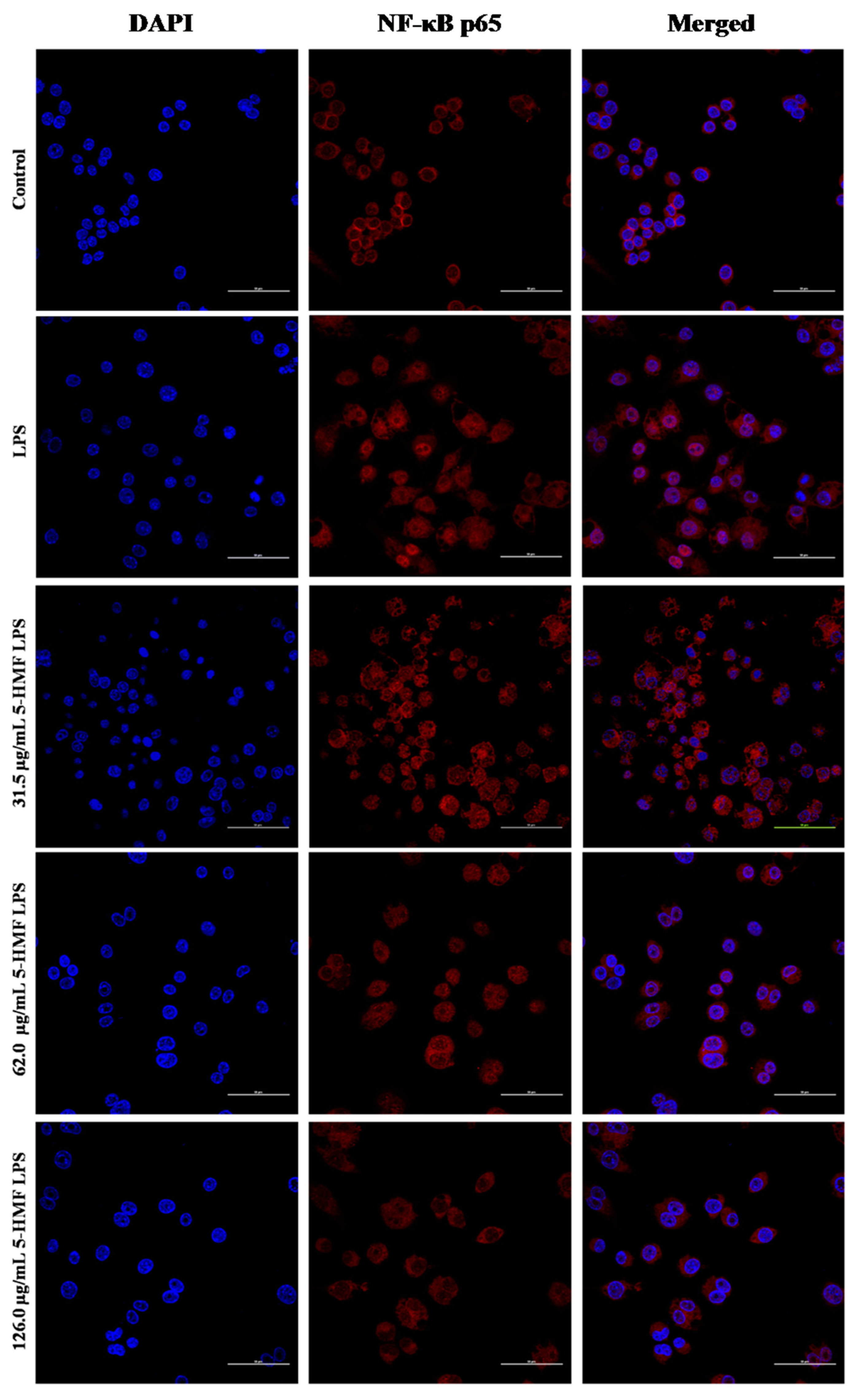 Molecules 24 00275 g007 Molecules 24 00275 g007