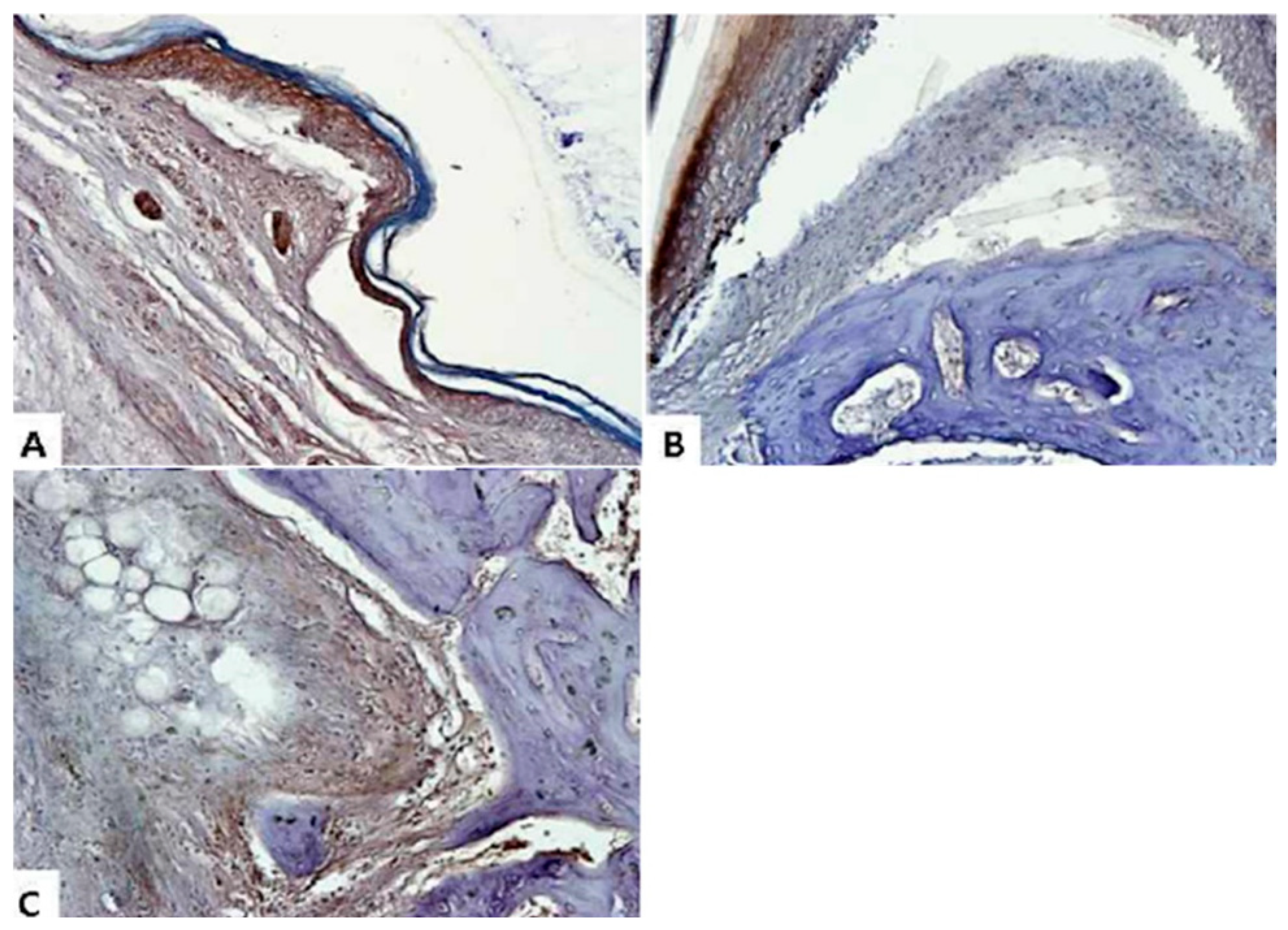 Molecules 24 00276 g008 Molecules 24 00276 g008