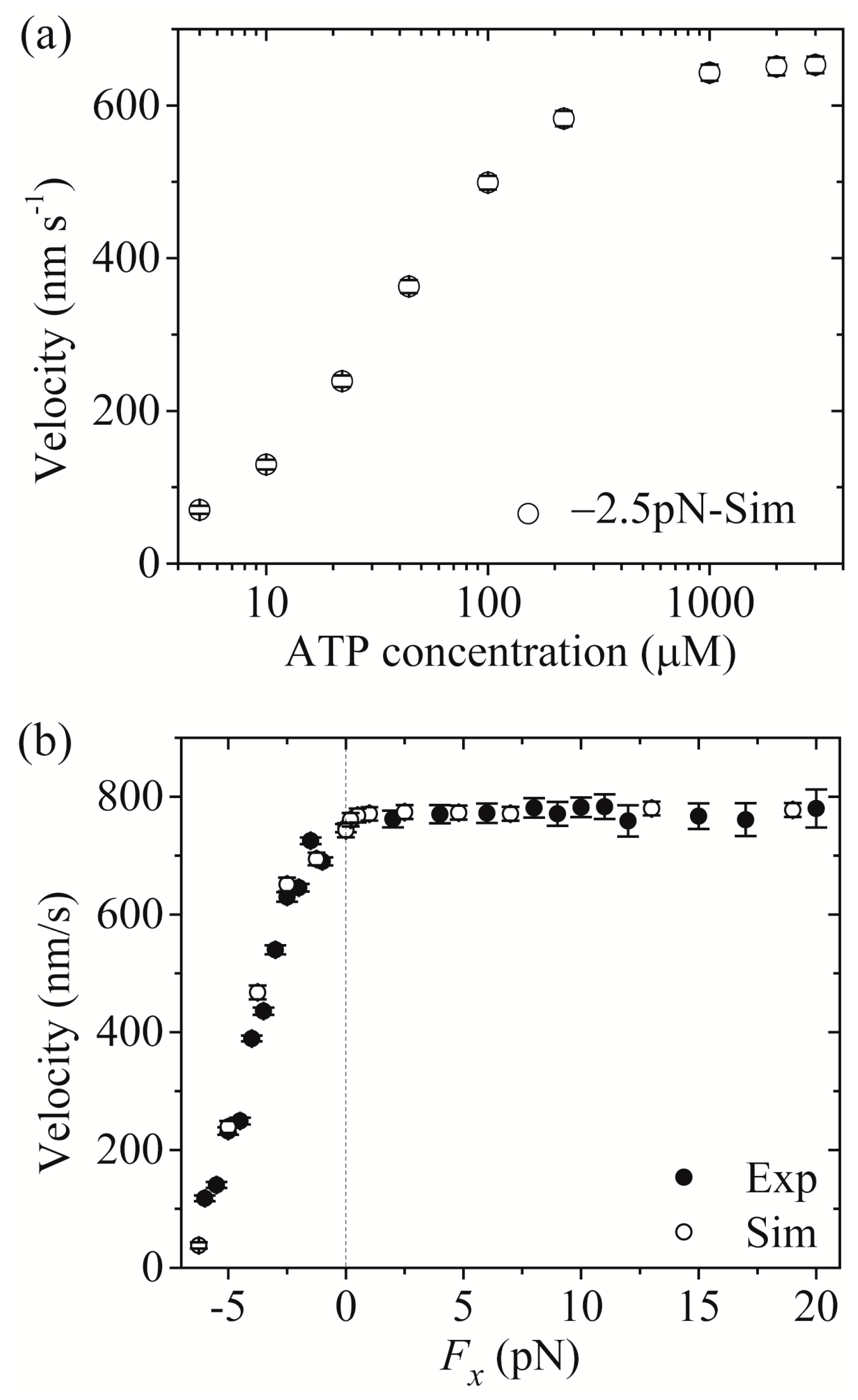Molecules 24 00287 g004