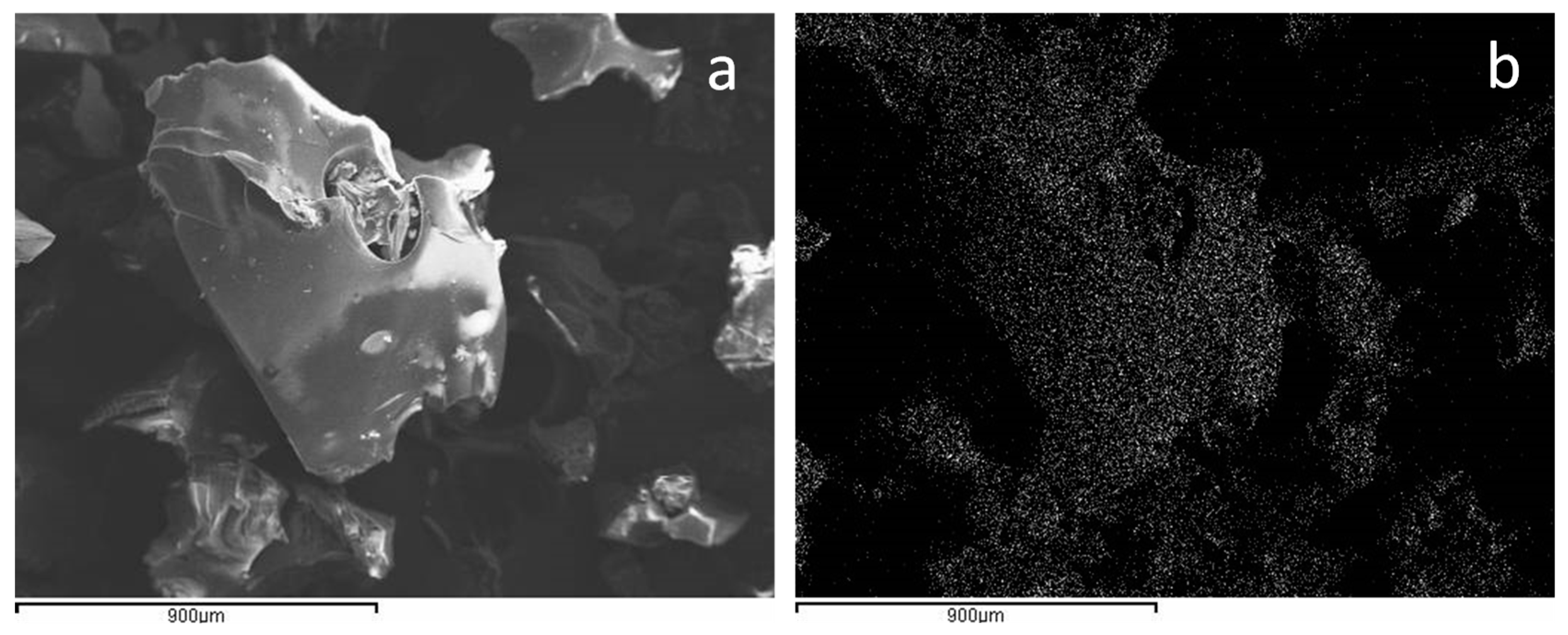 Molecules 24 00288 g001