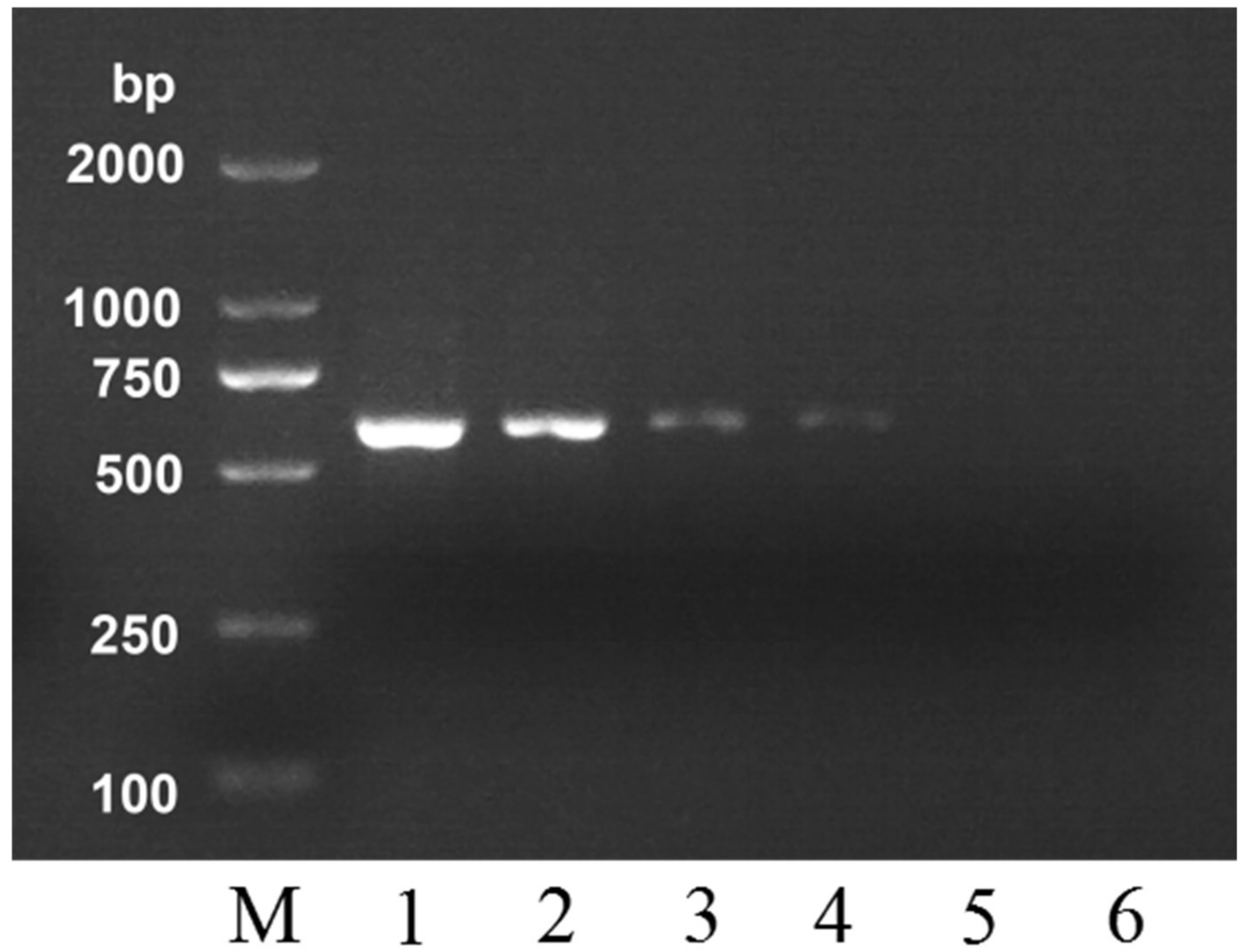 Molecules 24 00289 g002 550