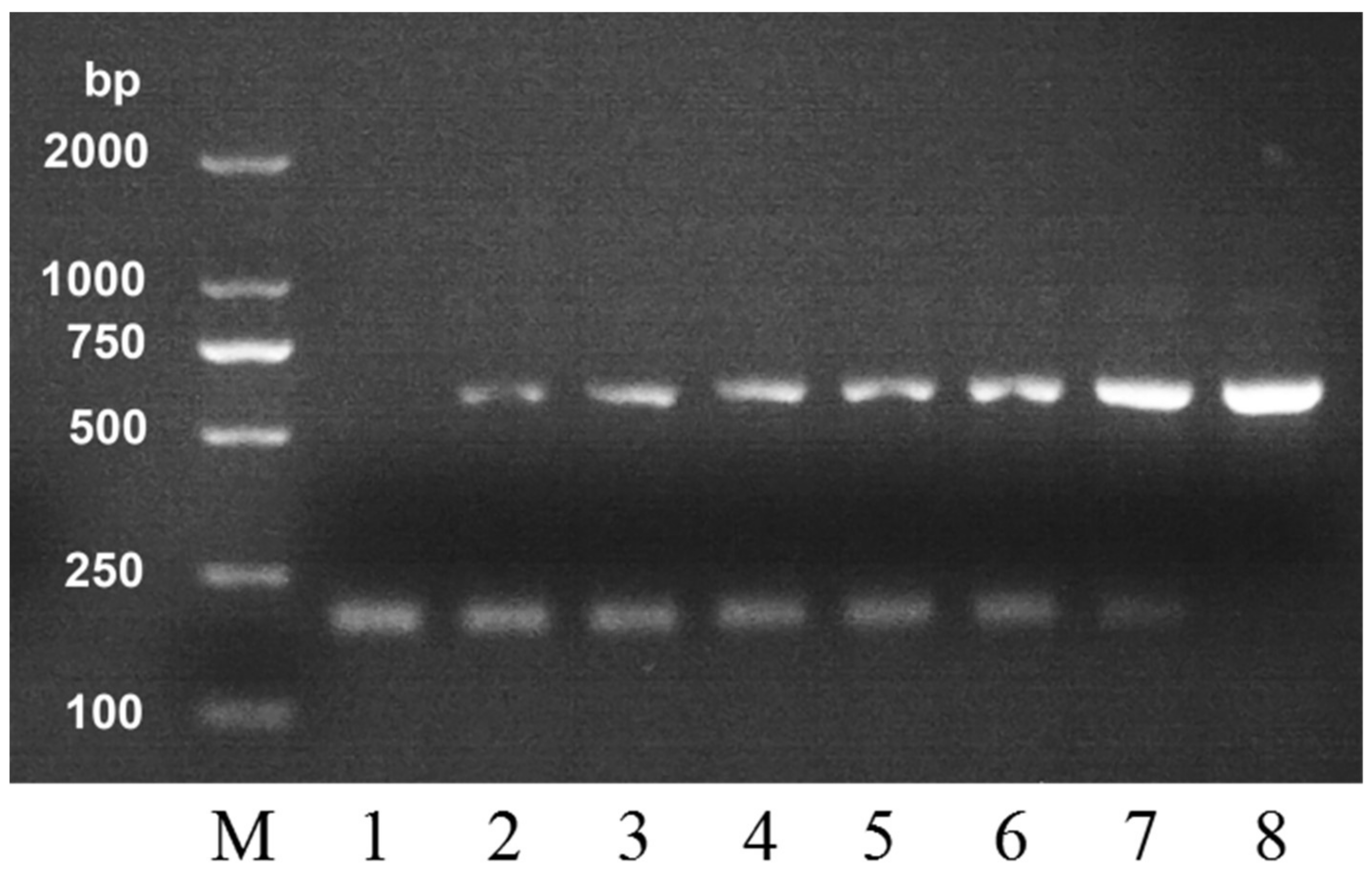 Molecules 24 00289 g003 550