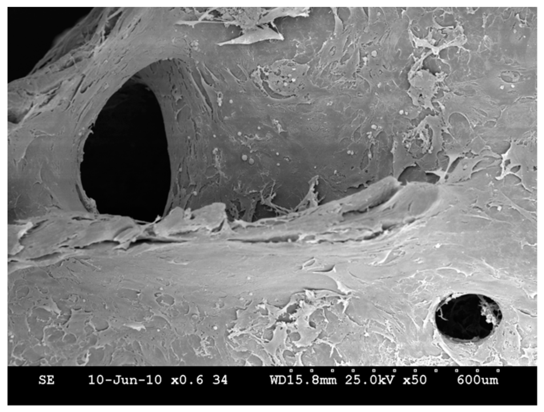 Molecules 24 00295 g002 Molecules 24 00295 g002