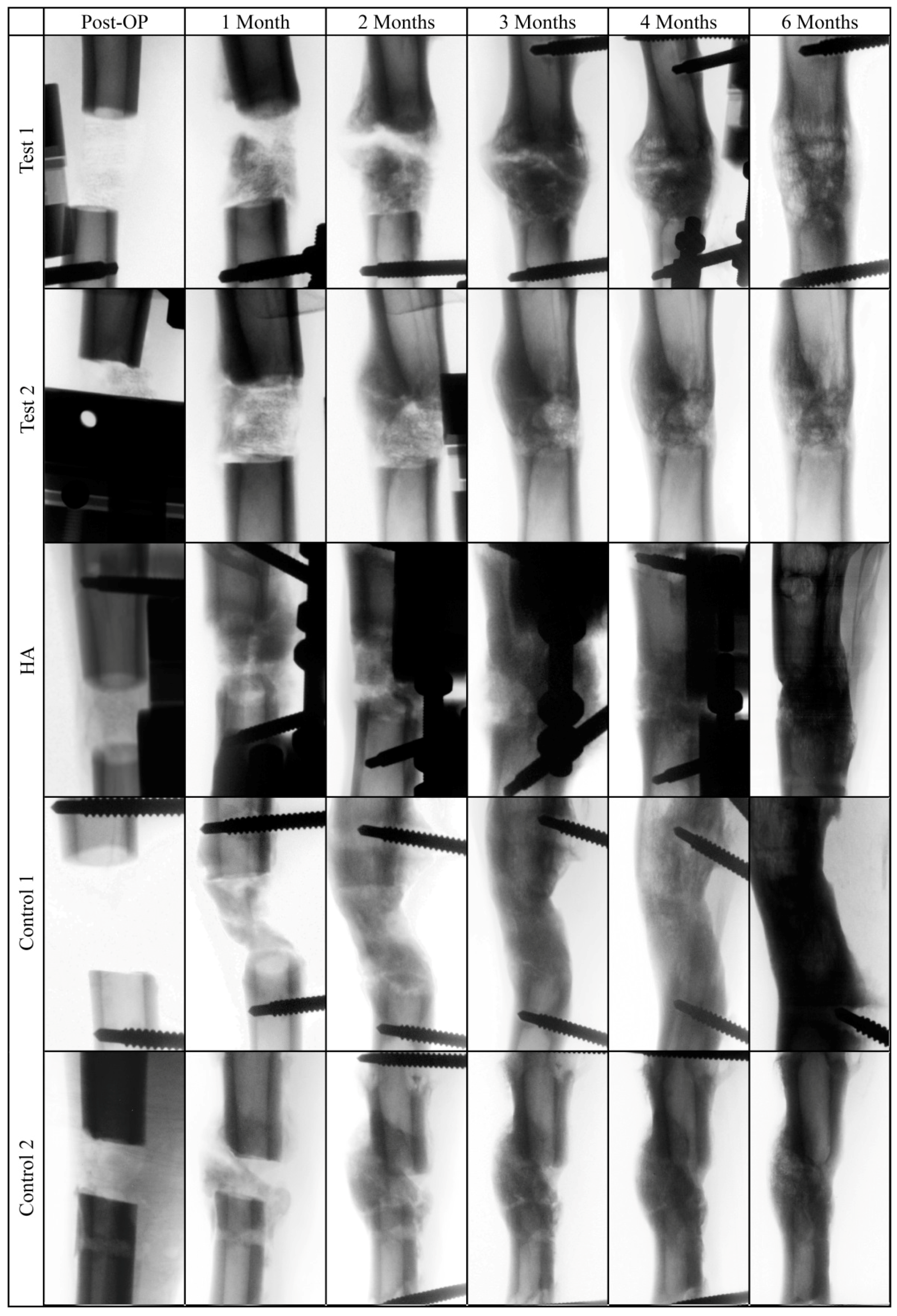 Molecules 24 00295 g004 Molecules 24 00295 g004
