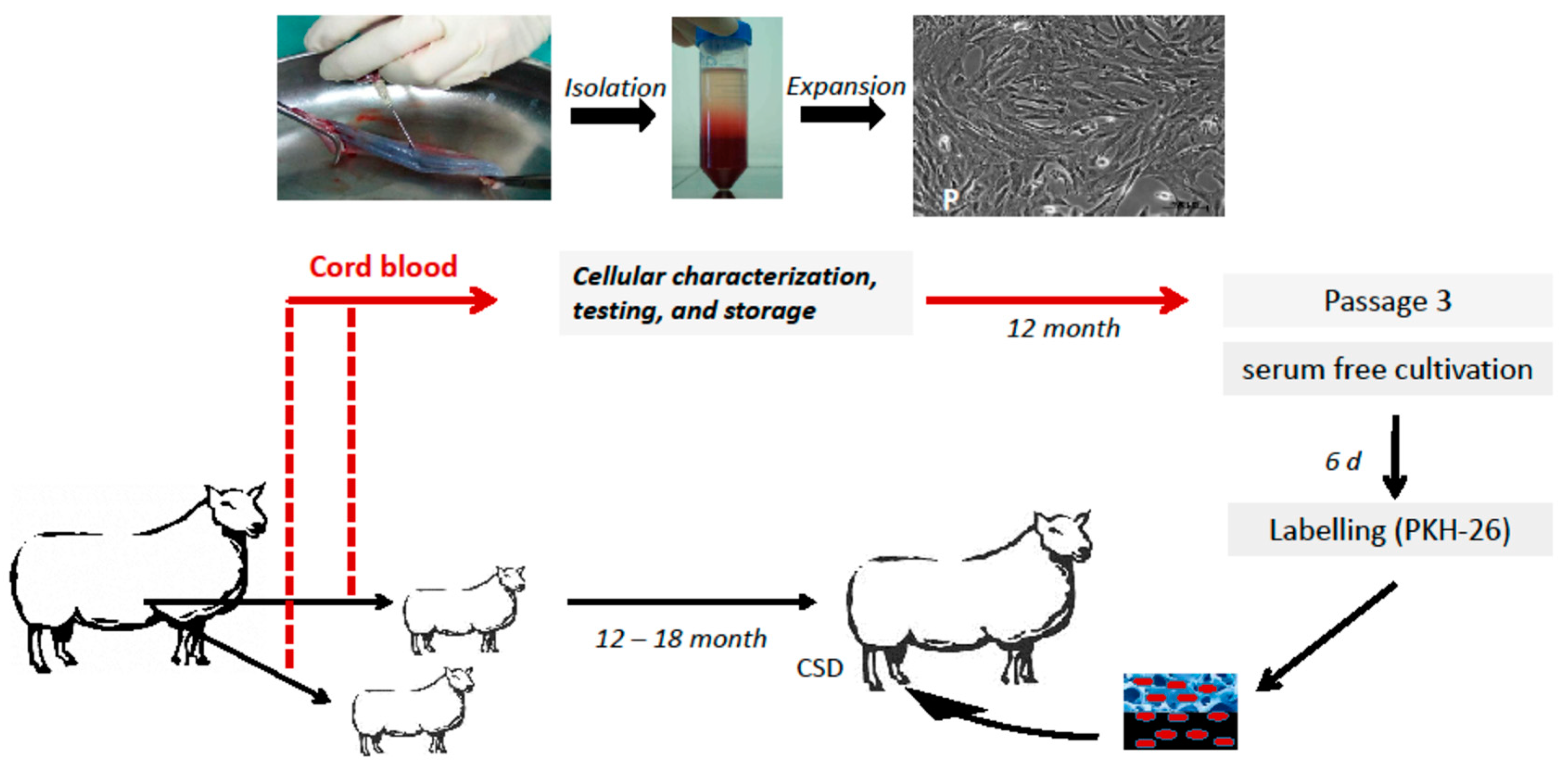 Molecules 24 00295 g007 Molecules 24 00295 g007