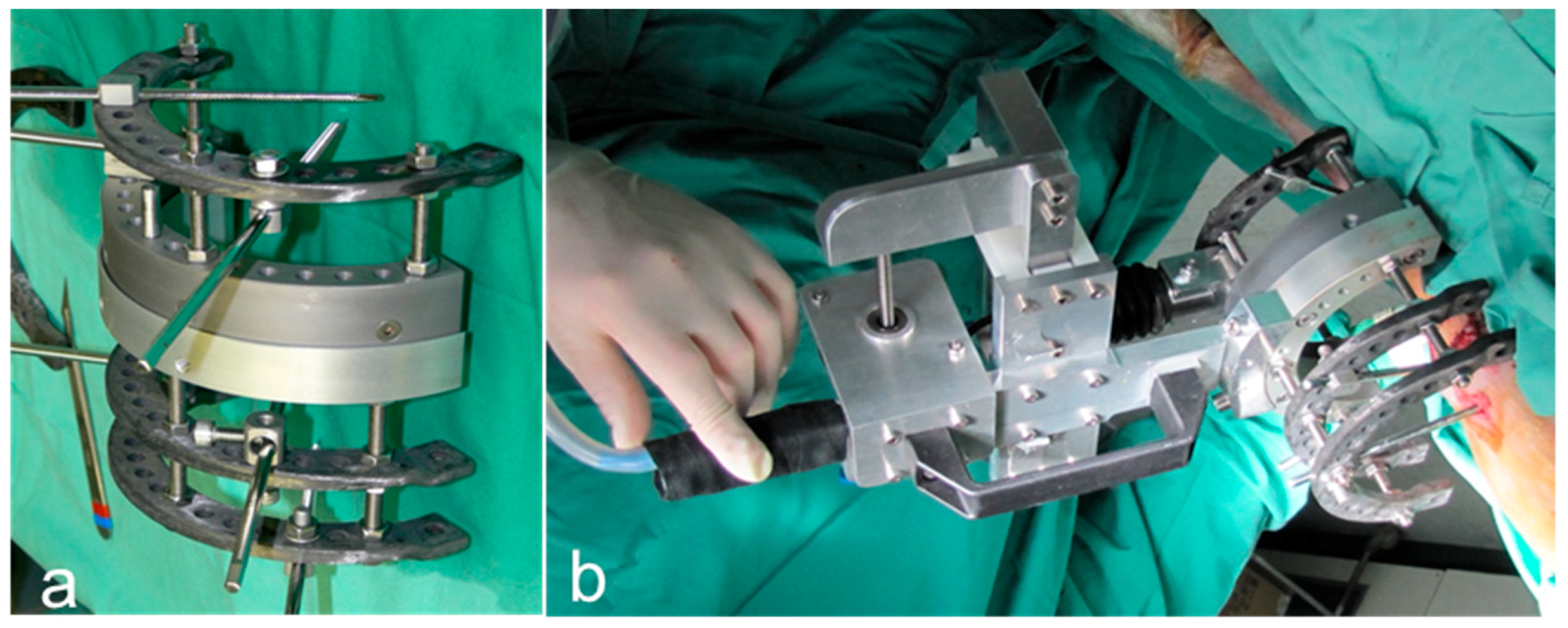 Molecules 24 00295 g009 Molecules 24 00295 g009