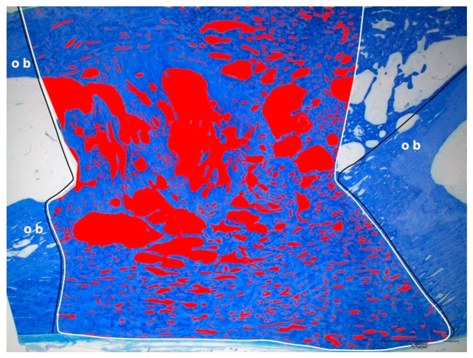 Molecules 24 00295 g010 Molecules 24 00295 g010