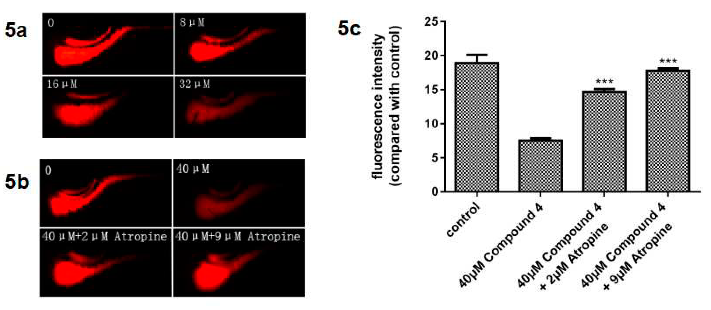 Molecules 24 00299 g005