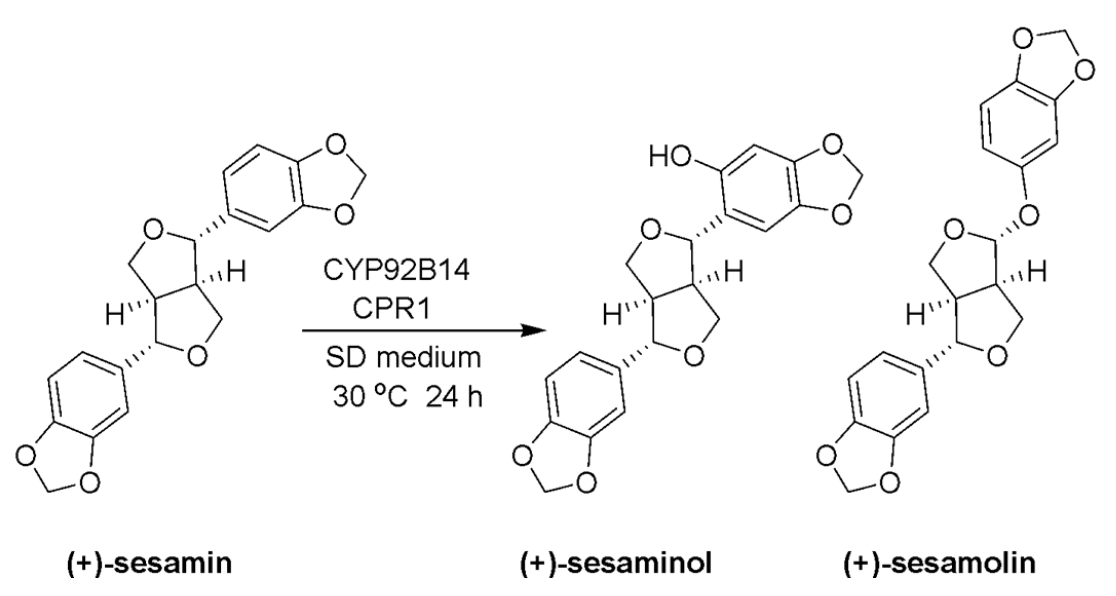 Molecules 24 00300 sch047