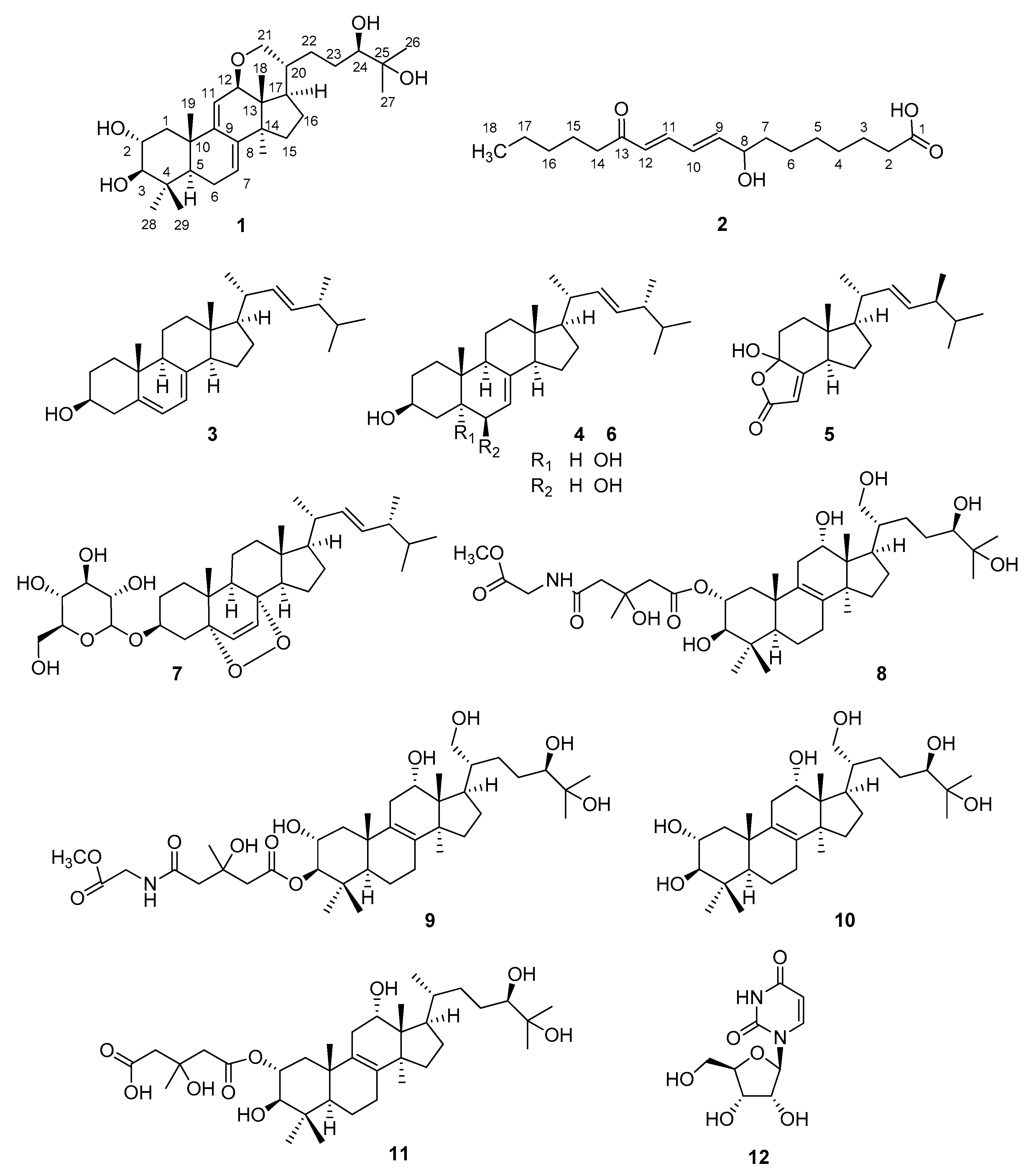 Molecules 24 00301 g001