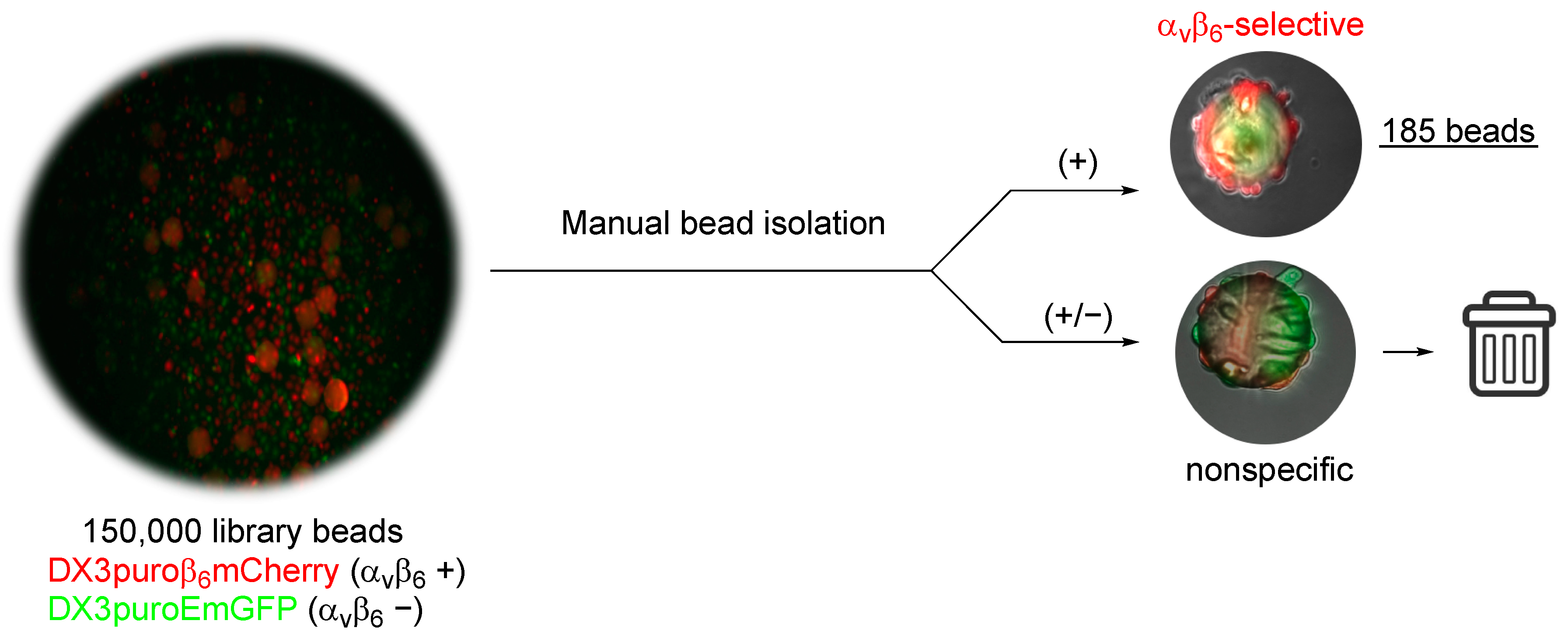 Molecules 24 00309 g001