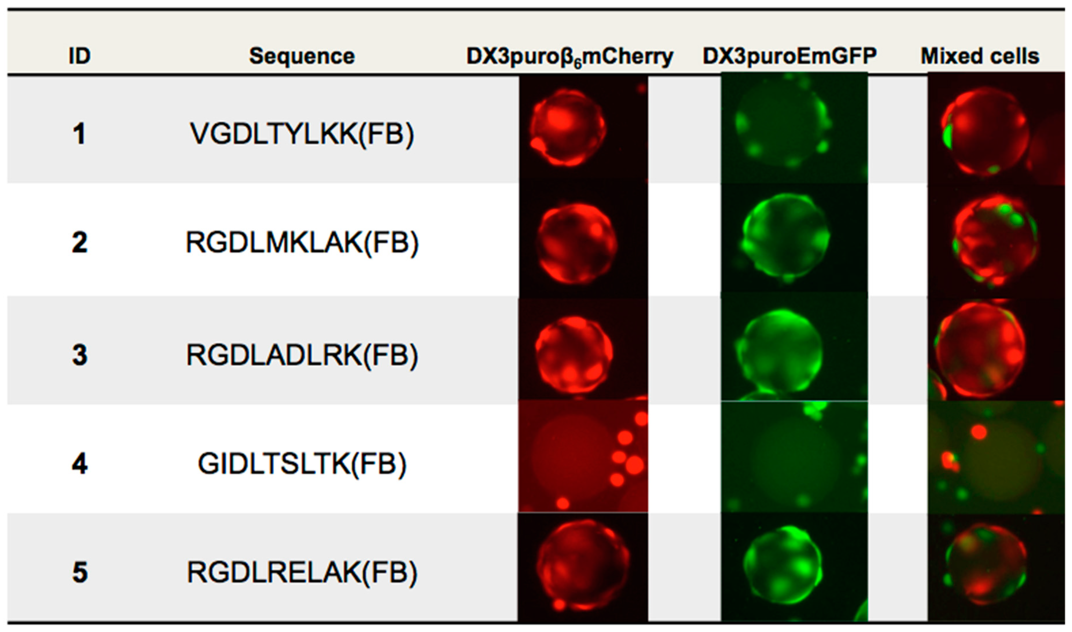 Molecules 24 00309 g002