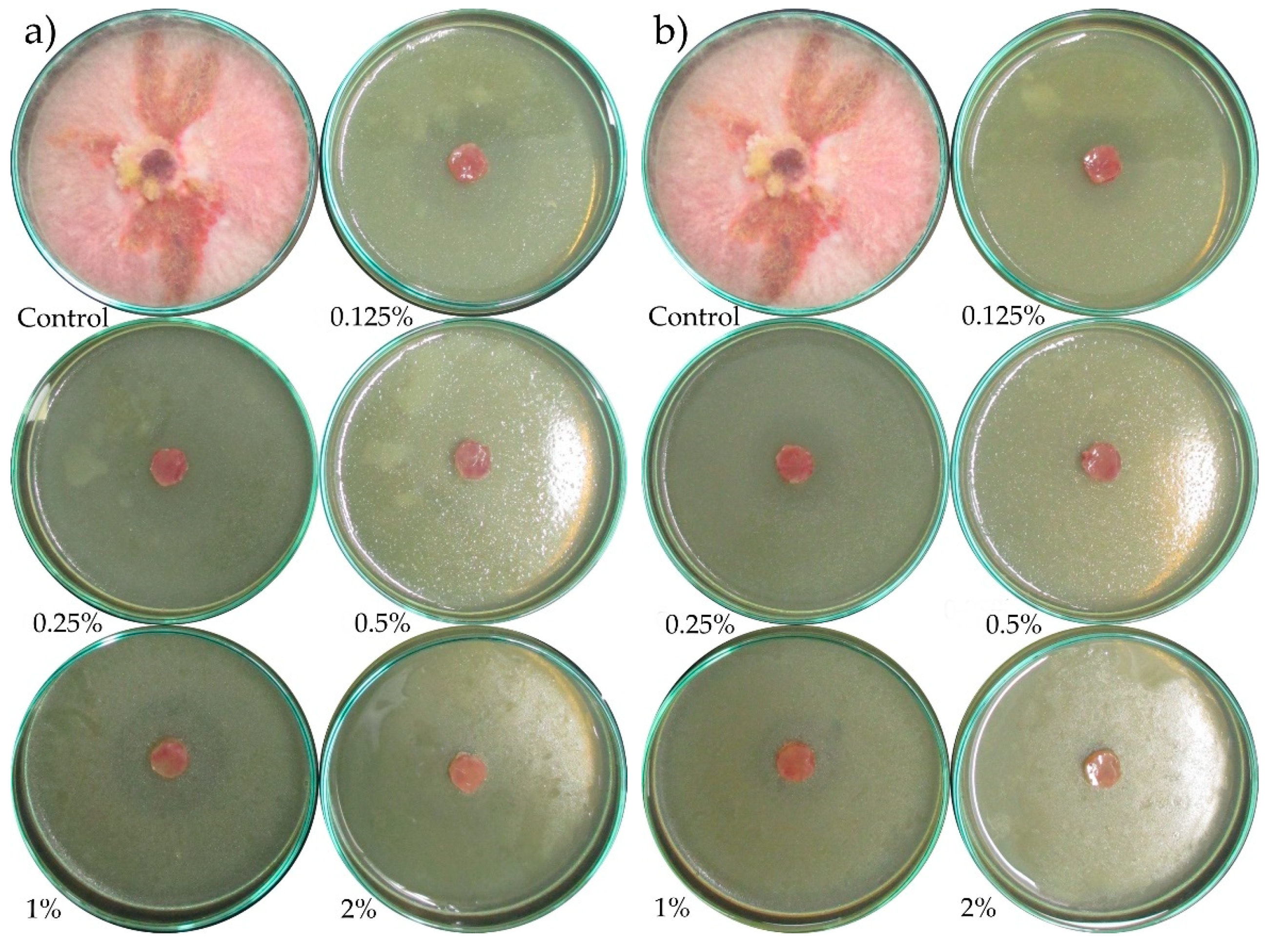 Molecules 24 00311 g0a5