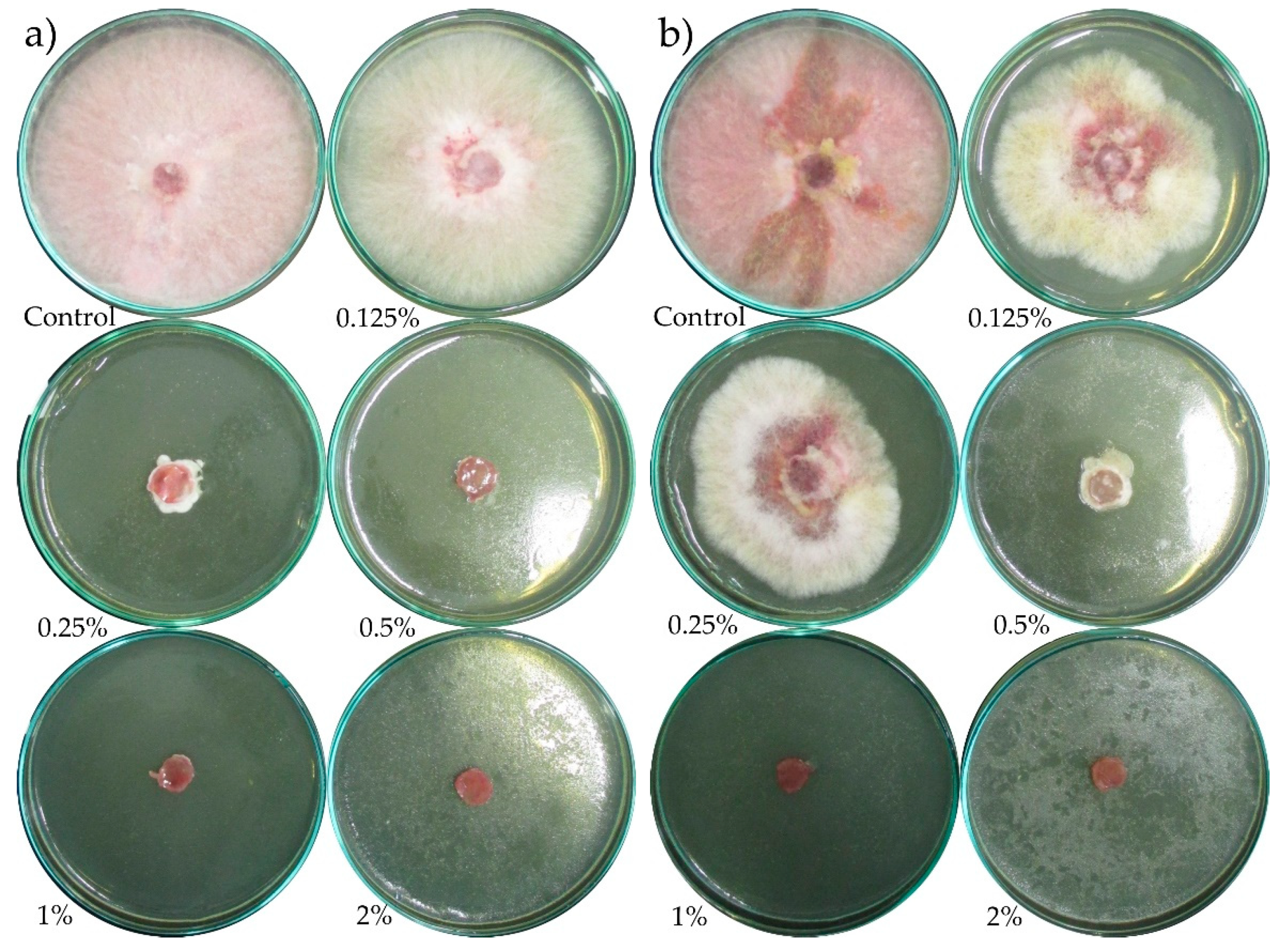 Molecules 24 00311 g0a7