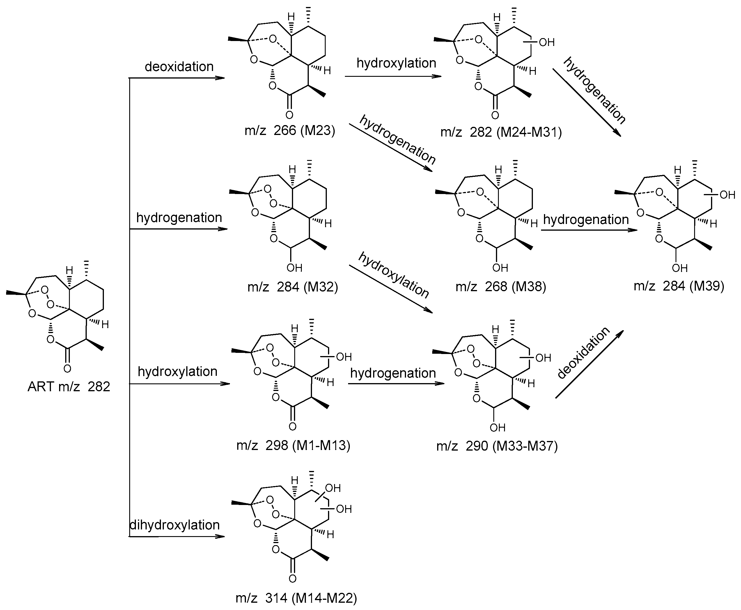 Molecules 24 00315 g004